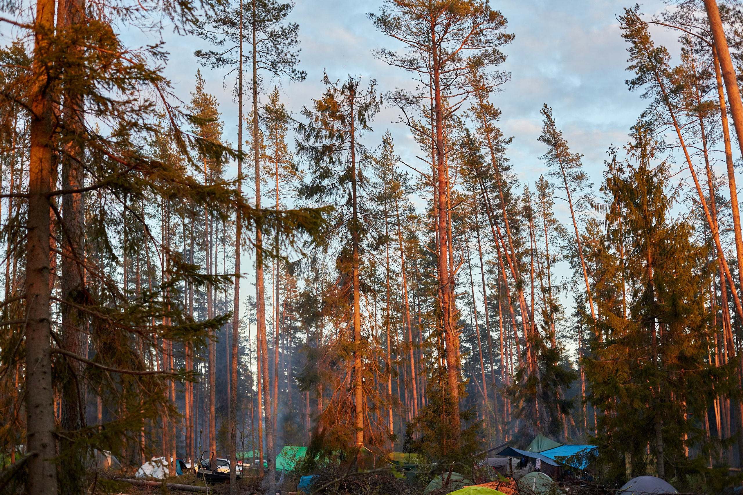 Festival Photography in Berlin and Europe. Photorgrapher Berlin: Event, Portrait and commercial photography