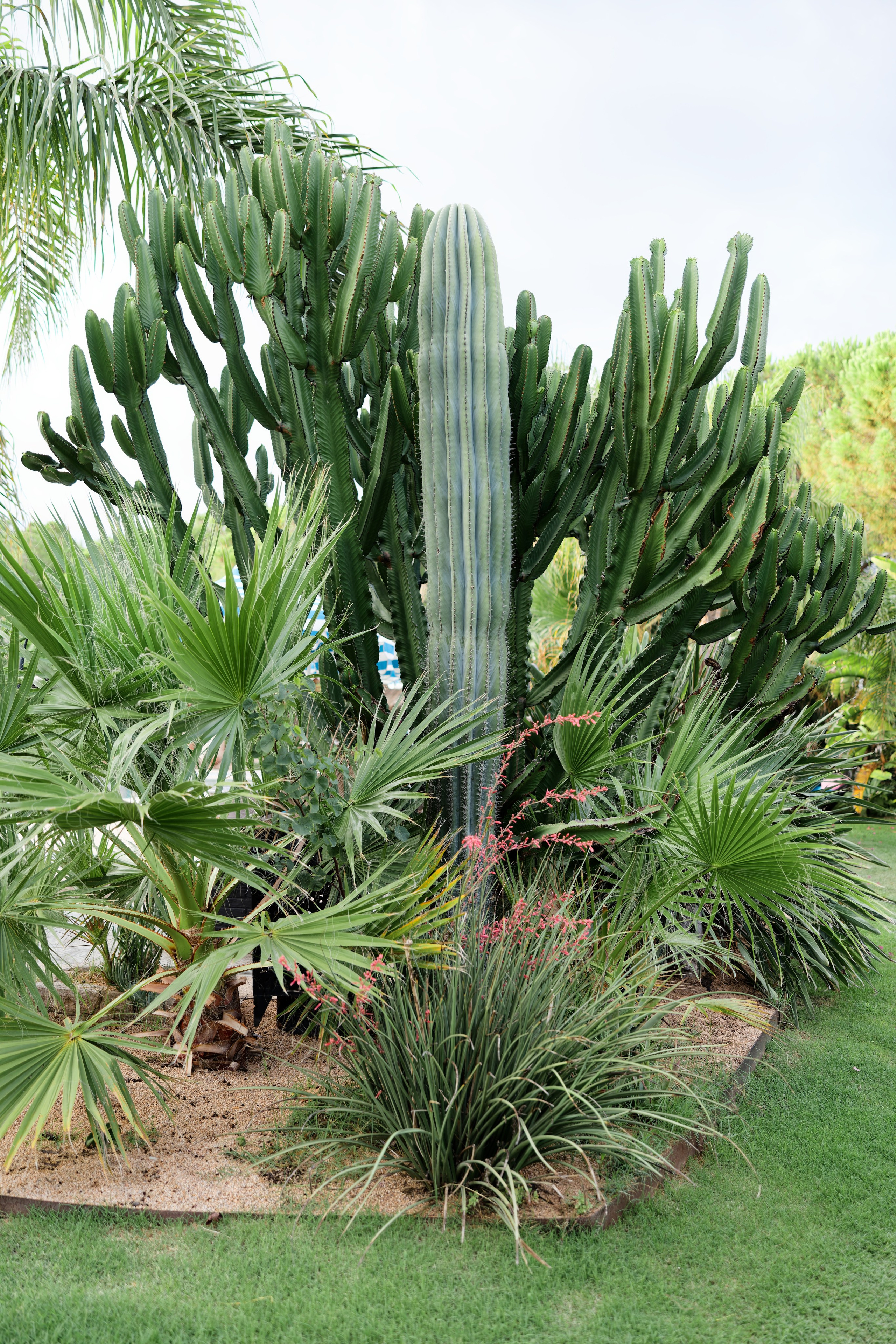 Welcome dinner of Gracie & Joe at Gran Villa Rosa