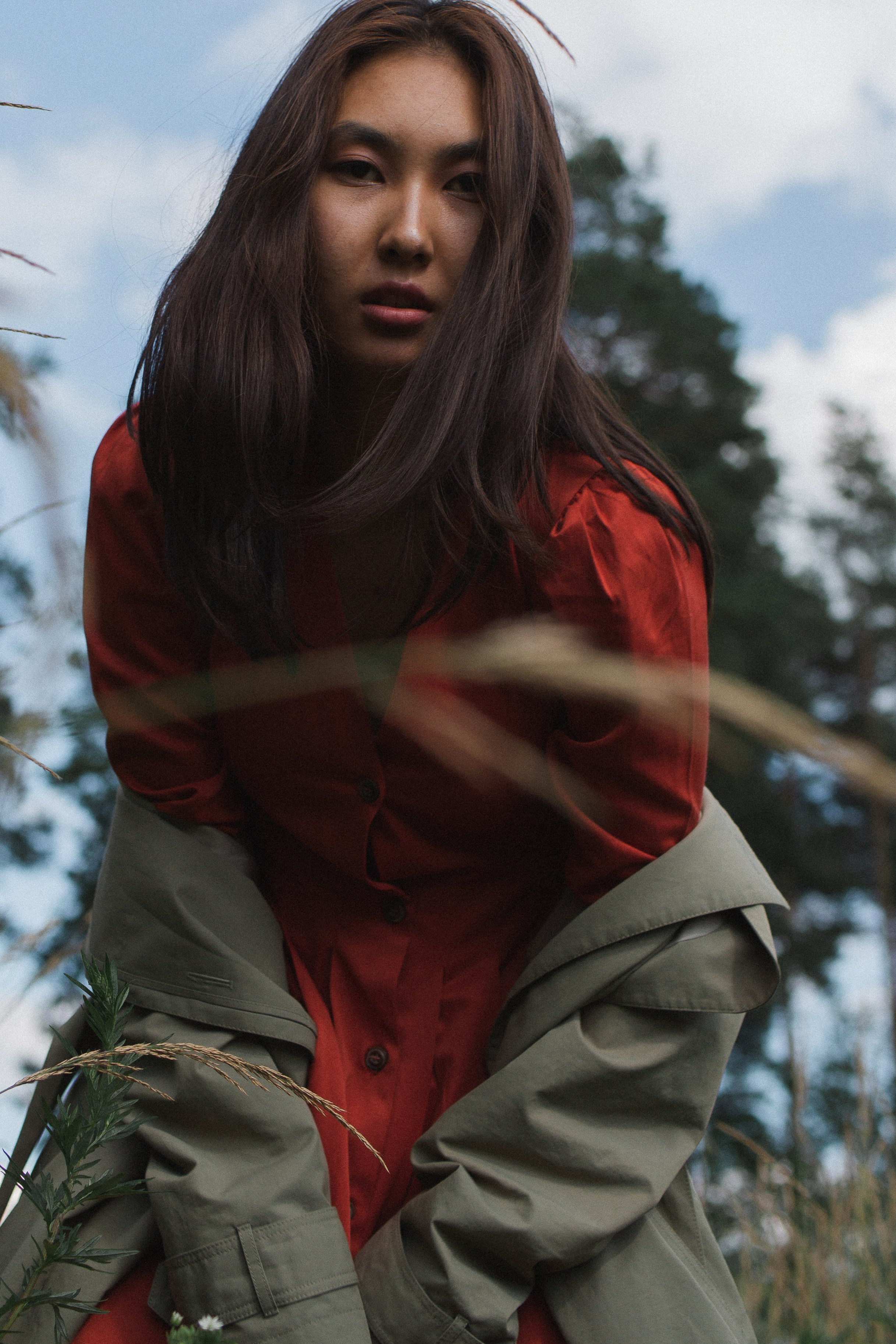 Aijan. Forest. Photographer Vladmir Gladkov