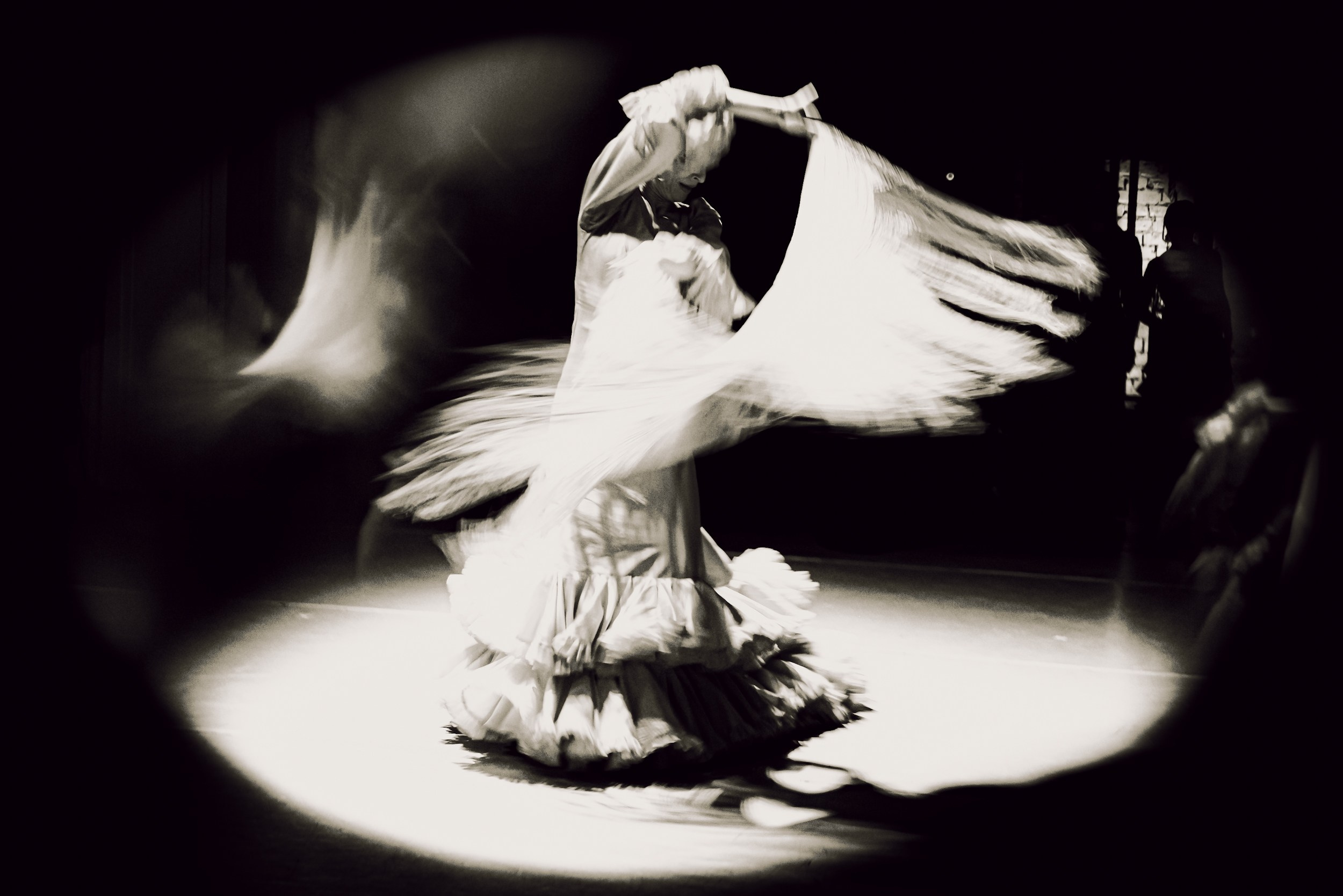 Flamenco spots. Ekaterina Tsurkina-Appina Photography Canada