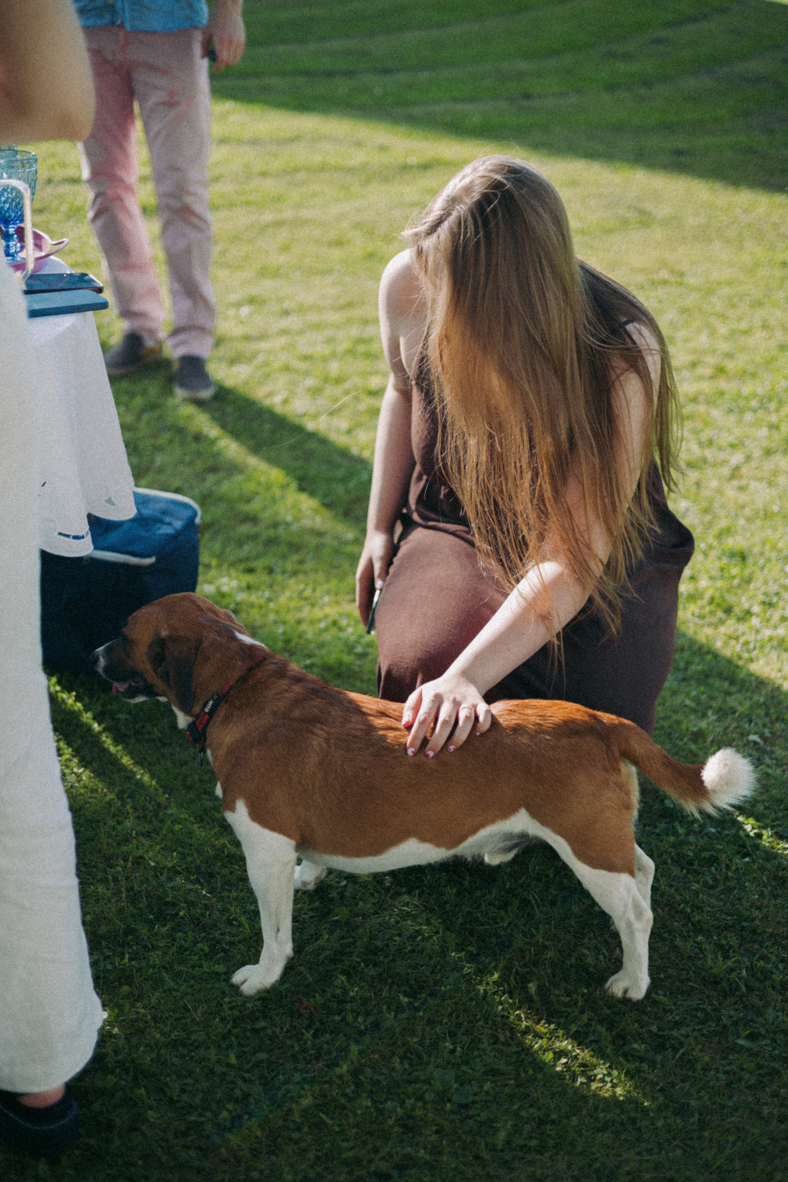 Vasara sode. Портретный фотограф Александра Самозванова