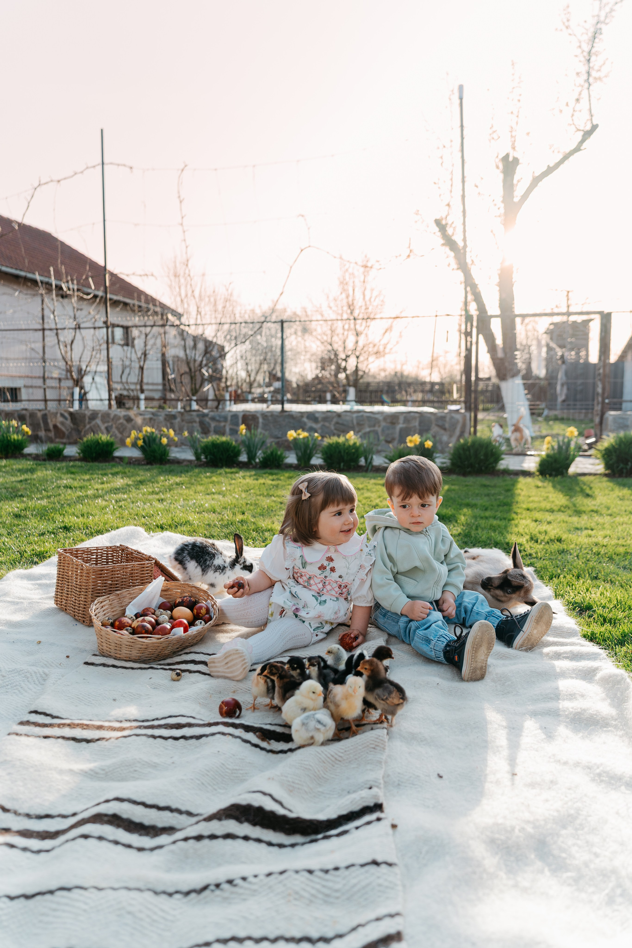 EASTER. Ars Vidi | Digital Solutions