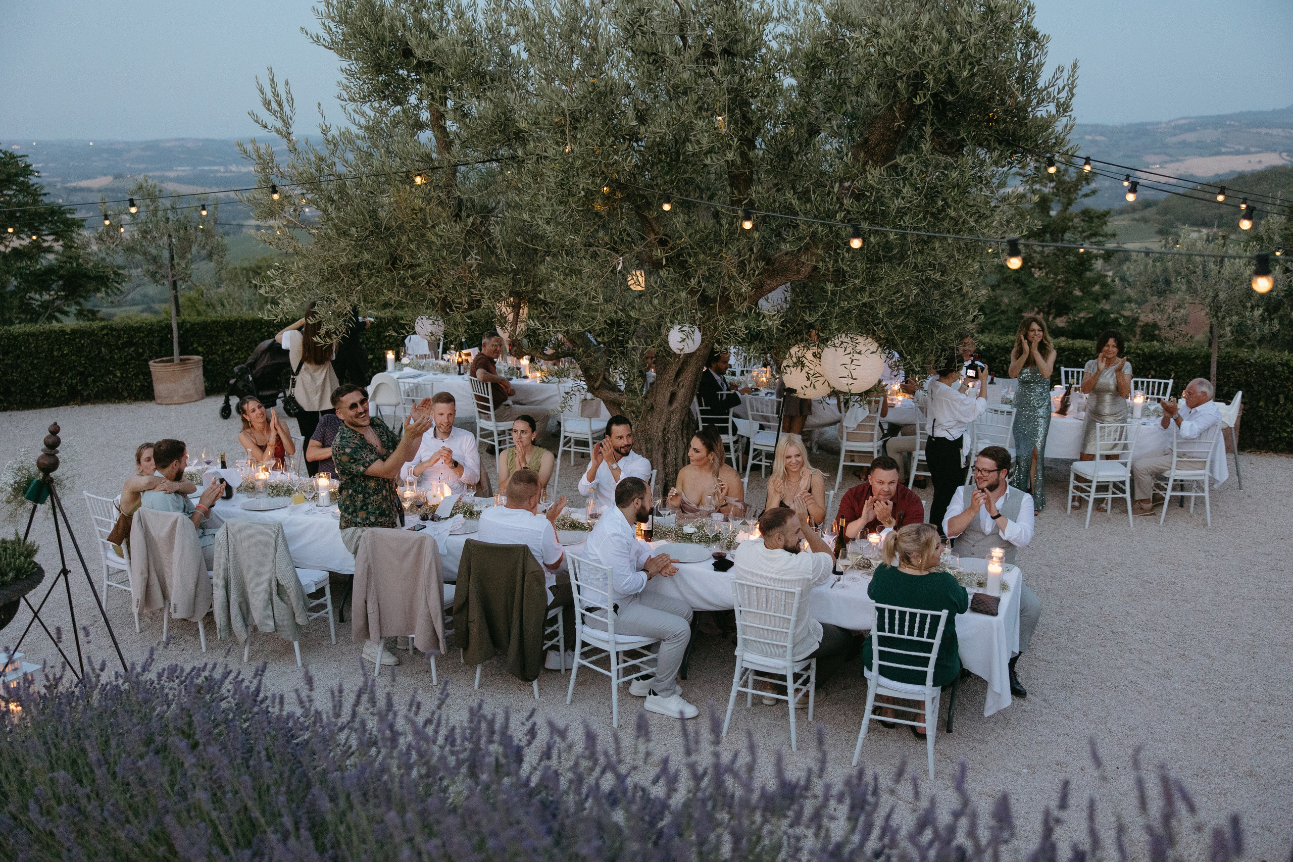 Sofia&Falk. Весільний фотограф Вікторія Саврук