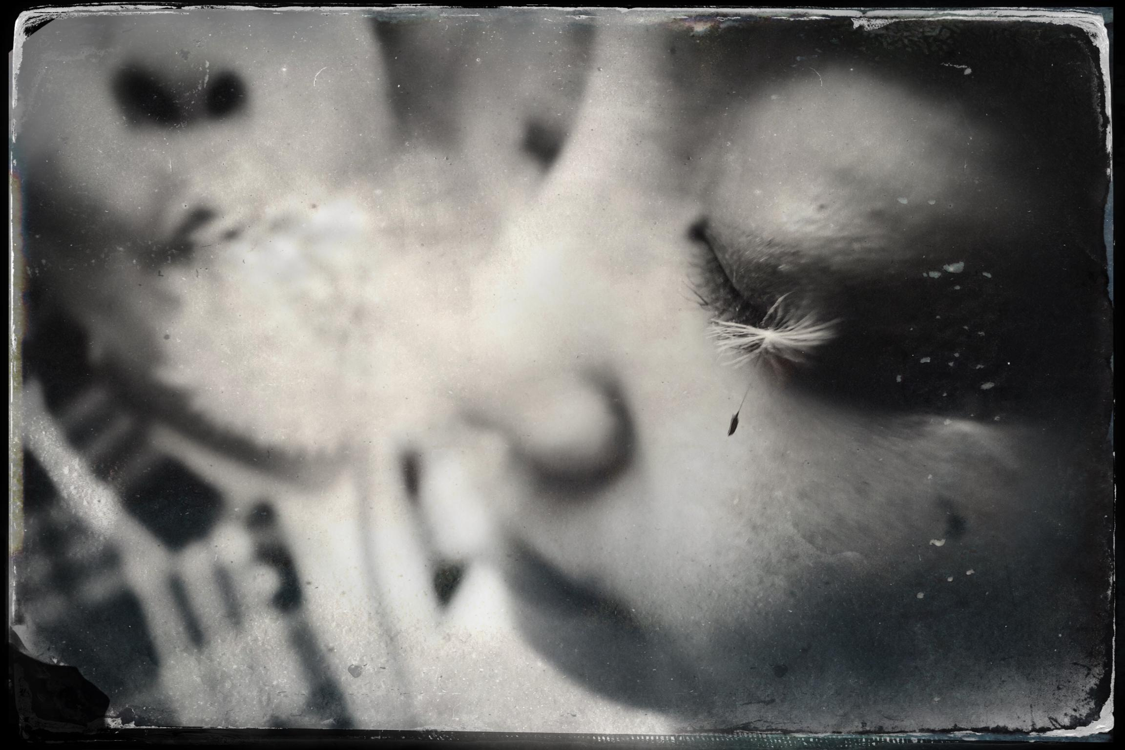 Jia and Lienne —Central Park-- Shoot on a Sony A1 + Photoshop editing. Emin Kuliyev — Award-Winning Wedding Photojournalist NYC & USA | Best Wedding Photographer Known for Candid, Timeless Moments