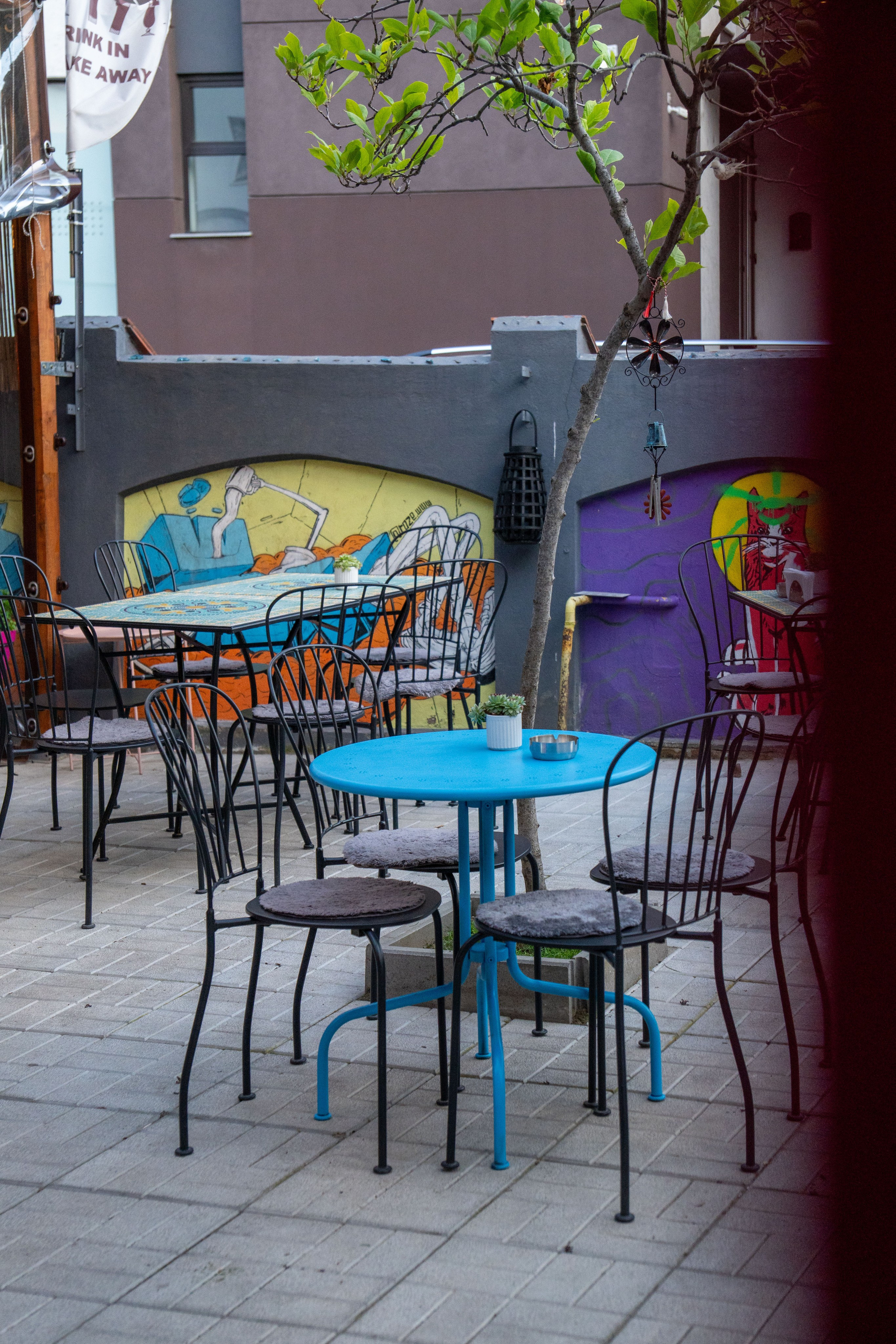 Adam’s. Creste si calatoreste