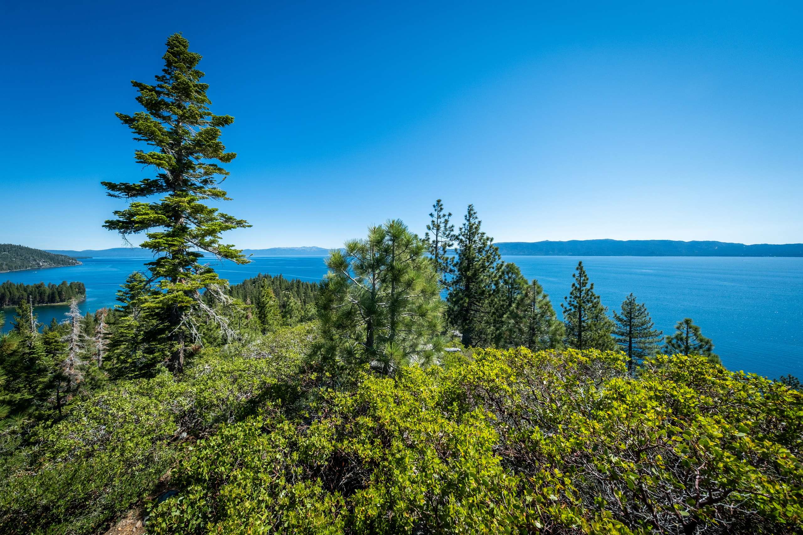 TAHOE. Reportage concert portrait photography in the San Francisco Bay Area