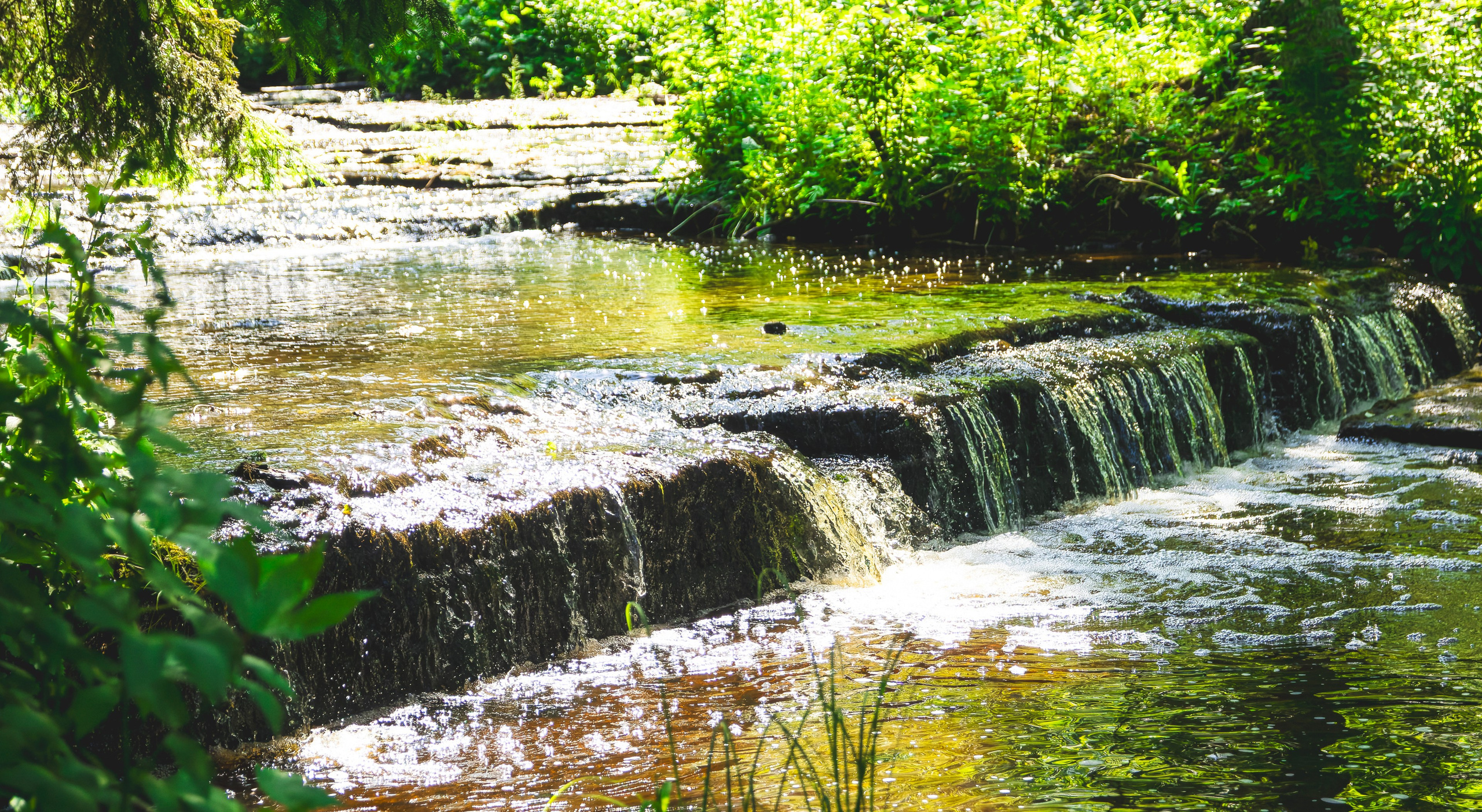 Jalgrattasõti, Klooga-Laagri (Kostja S. ja Ilja). Nebula 25 — Fotod teie hingele