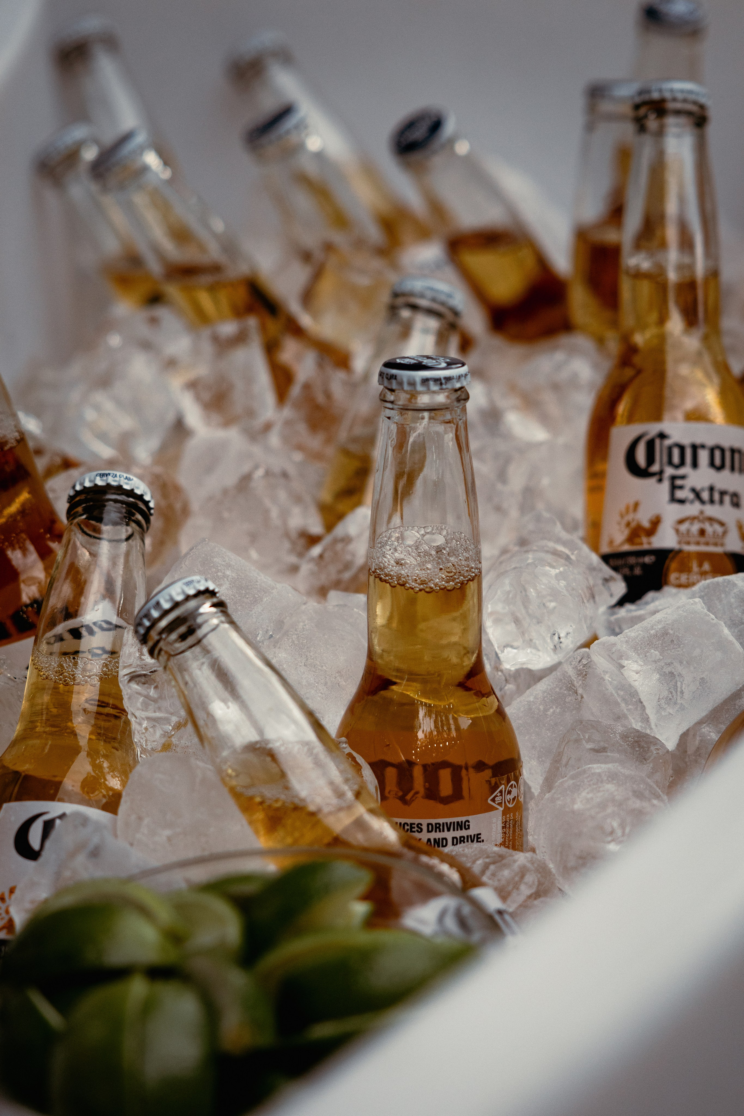 Alex Birthday Party. Дизайнер и Фотограф в Кишинёве Бусуйок Станислав