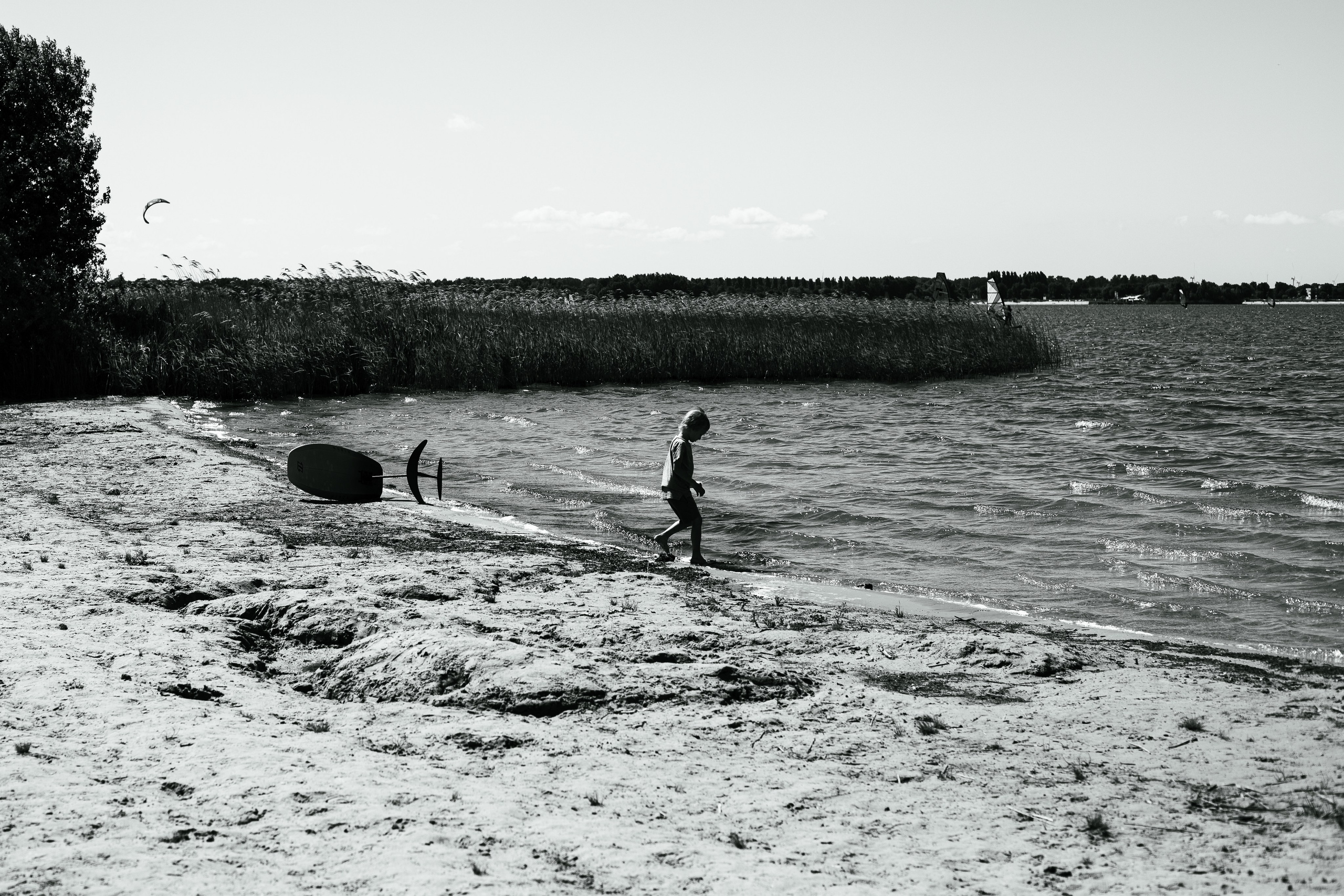 Kite. Family and Portraits photographer Diana Andoni