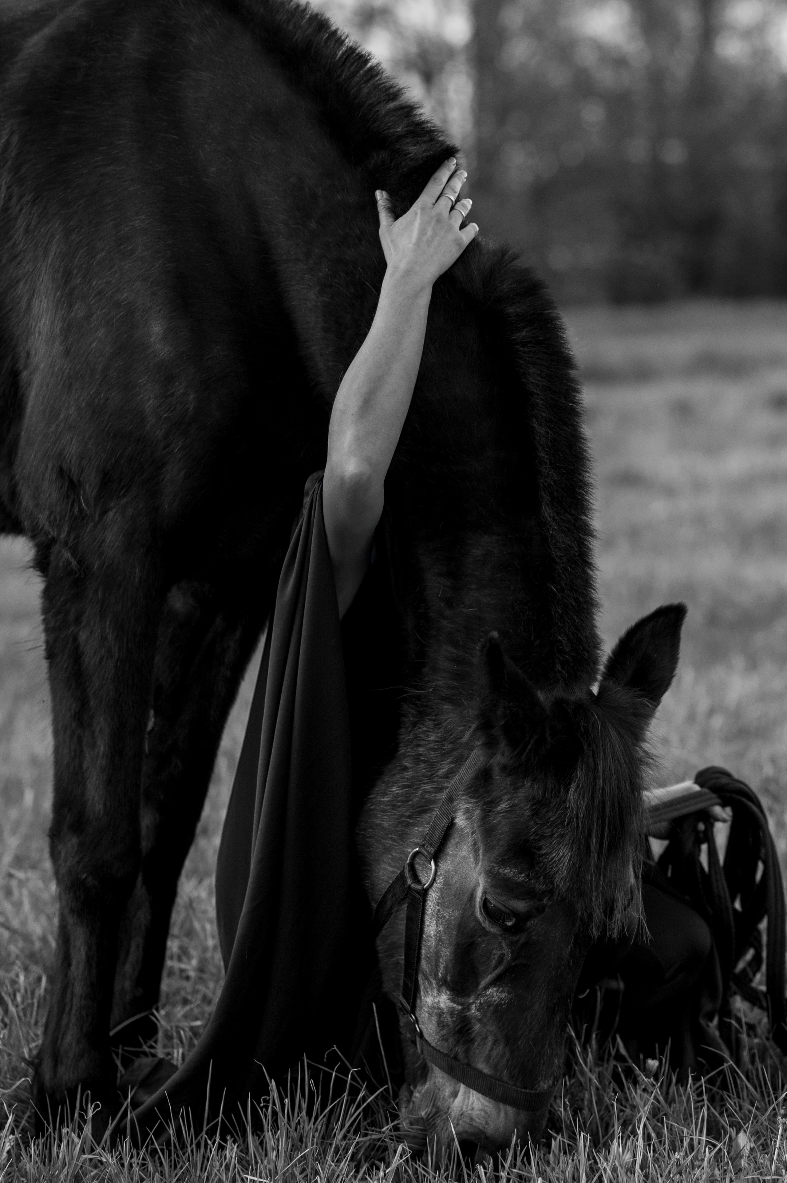 Agata. Фотограф Таллинн — свадьба |семья | lovestory