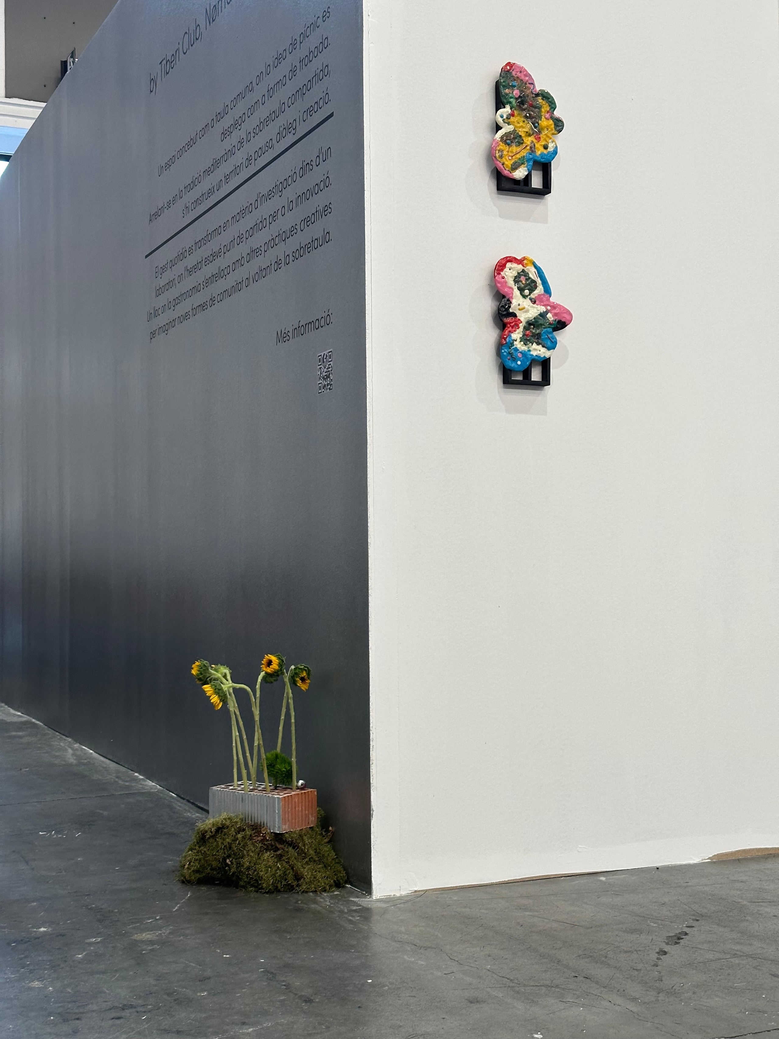 PICNIC.LAB for Tiberi Club en SWAB Barcelona 2025