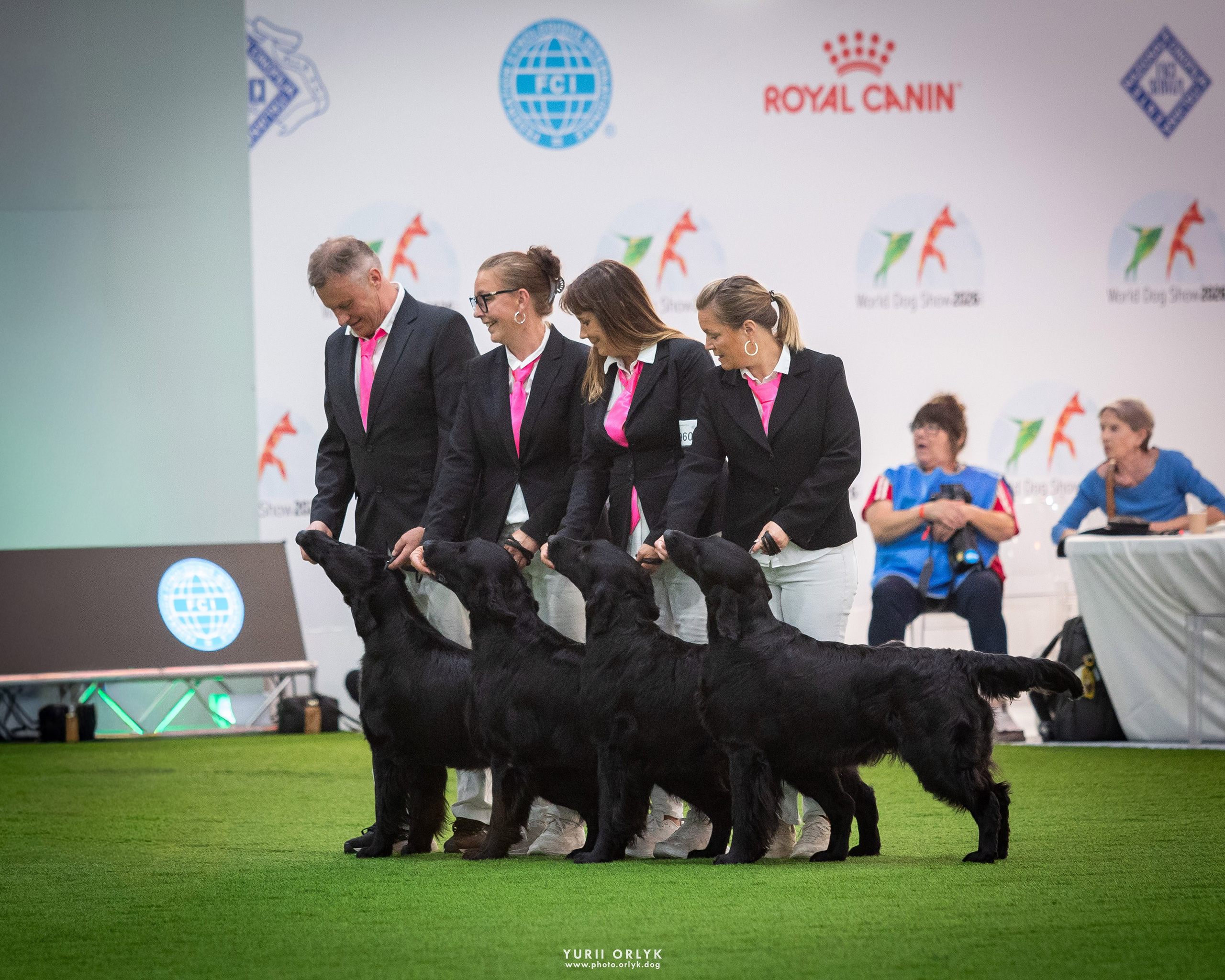 Dog Shows. Yurii Orlyk Photography