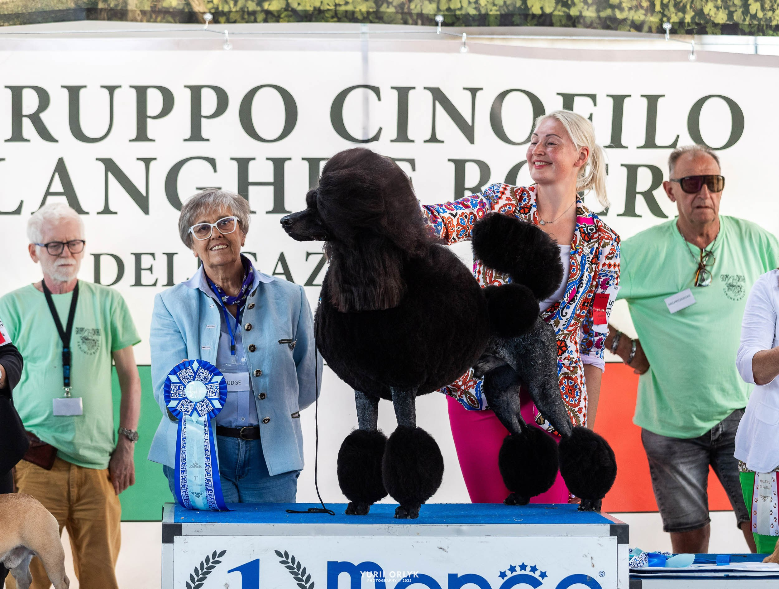 Dog Shows. Yurii Orlyk Photography