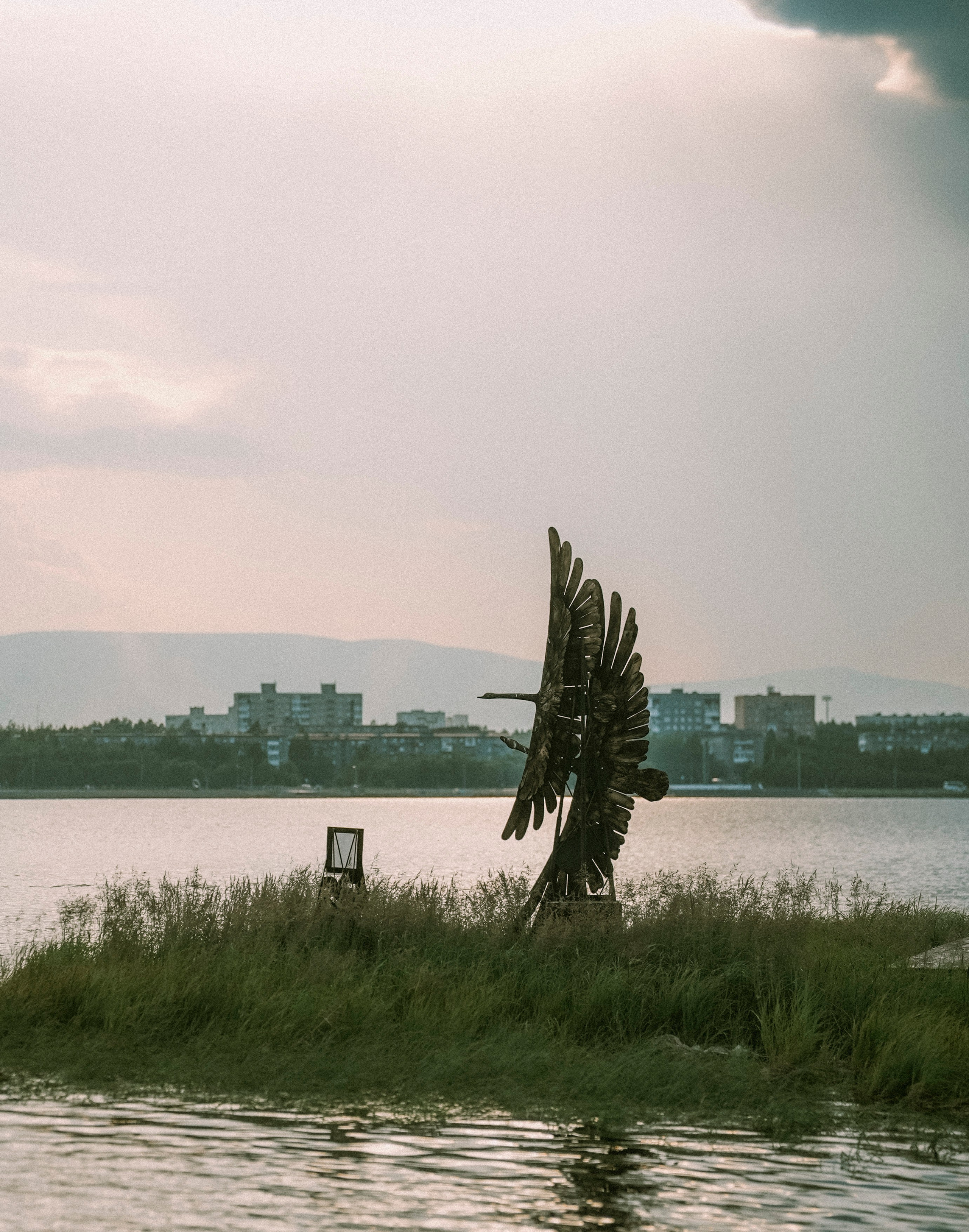 2025. Стрит-фотография, полная абсурда, идиотизма и красоты