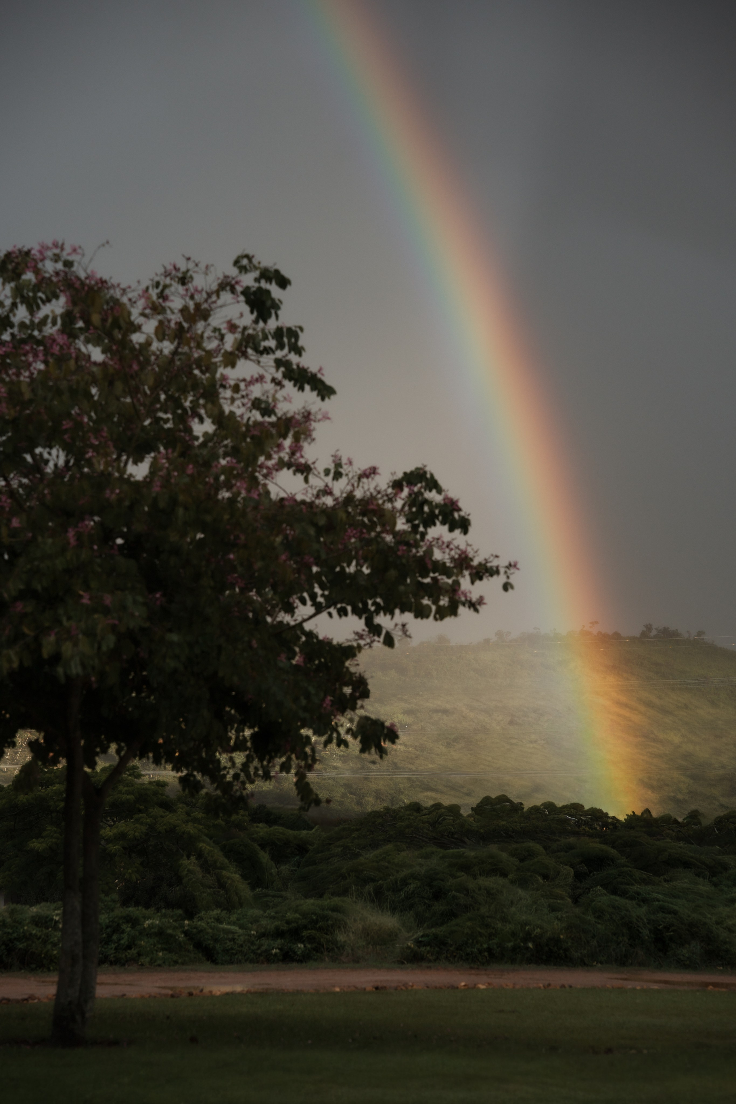 Ensaio Pré-Wedding com Cavalo em Minas Gerais | Sara e Rafael. Edu e Josi Fotografia de Casamento em Belo Horizonte | Fotos Naturais
