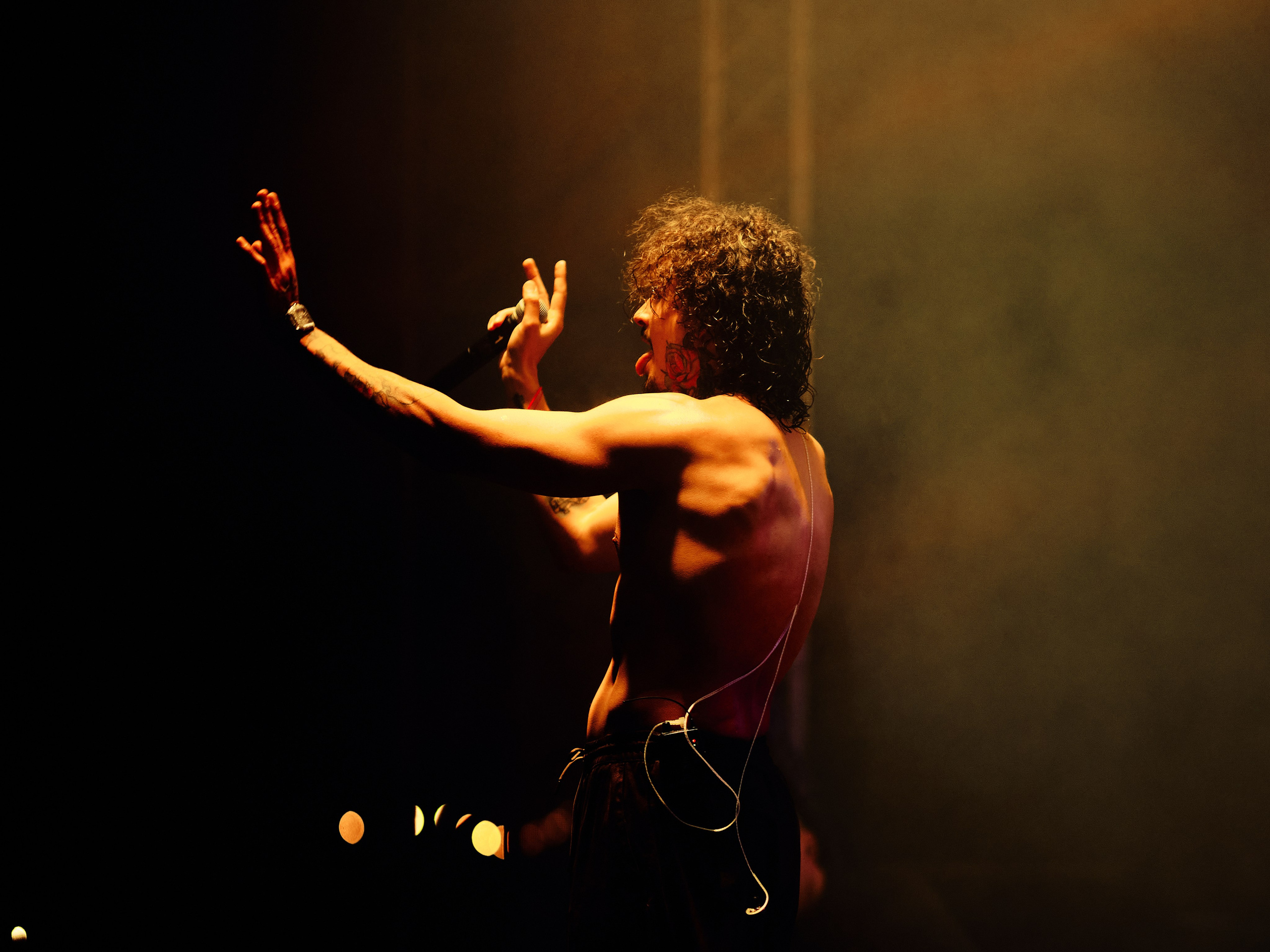 Concert. Ruslan Sereduk Photographer