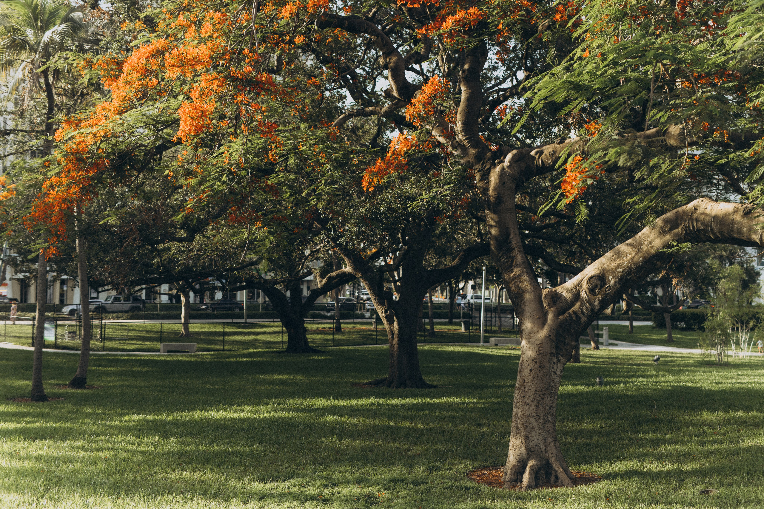 ART POTFOLIO. TETIANA UDOVYCHENKO STREET & PORTRAIT PHOTOGRAPHER