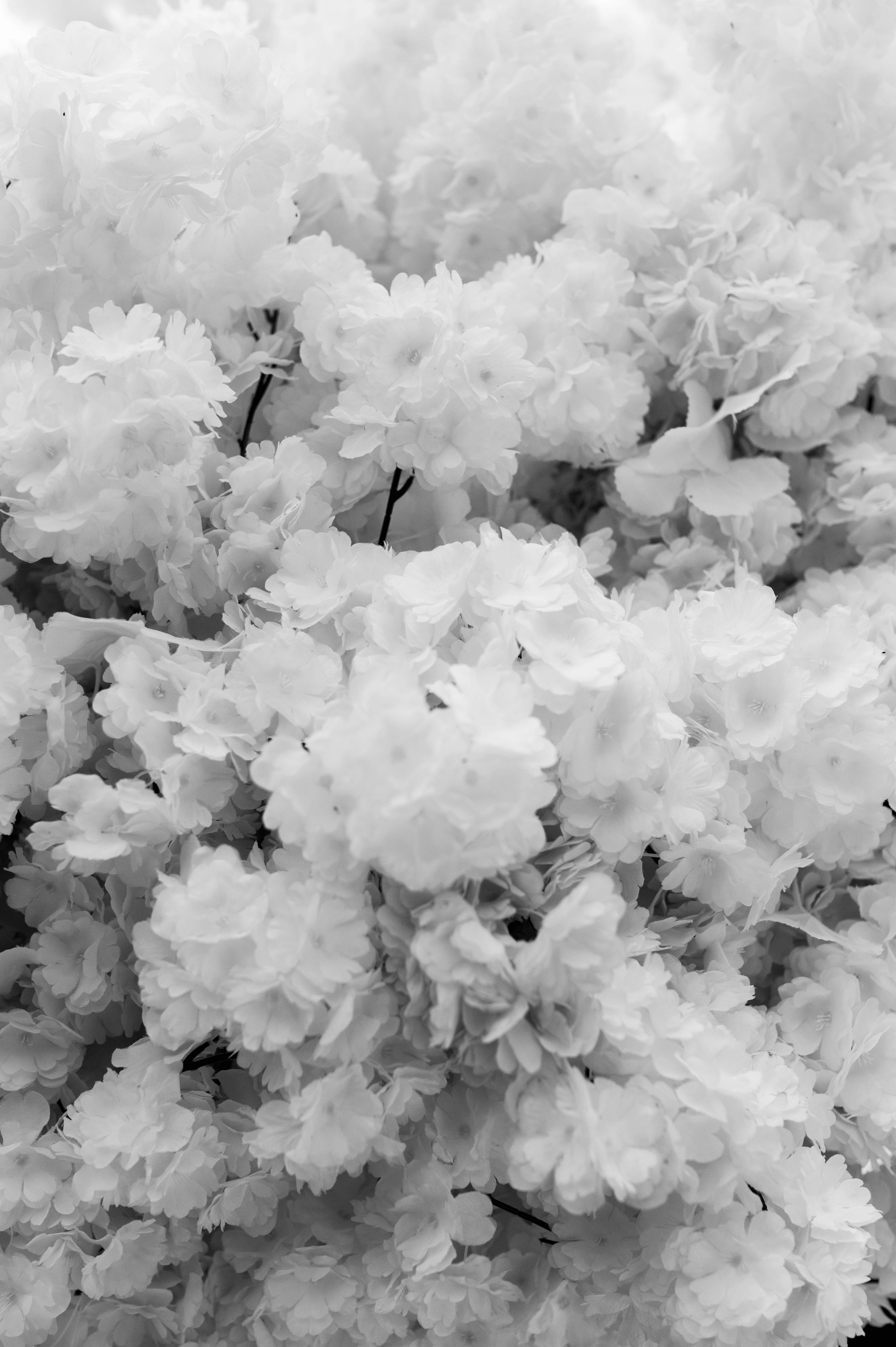 Iryna u Roman. Home page