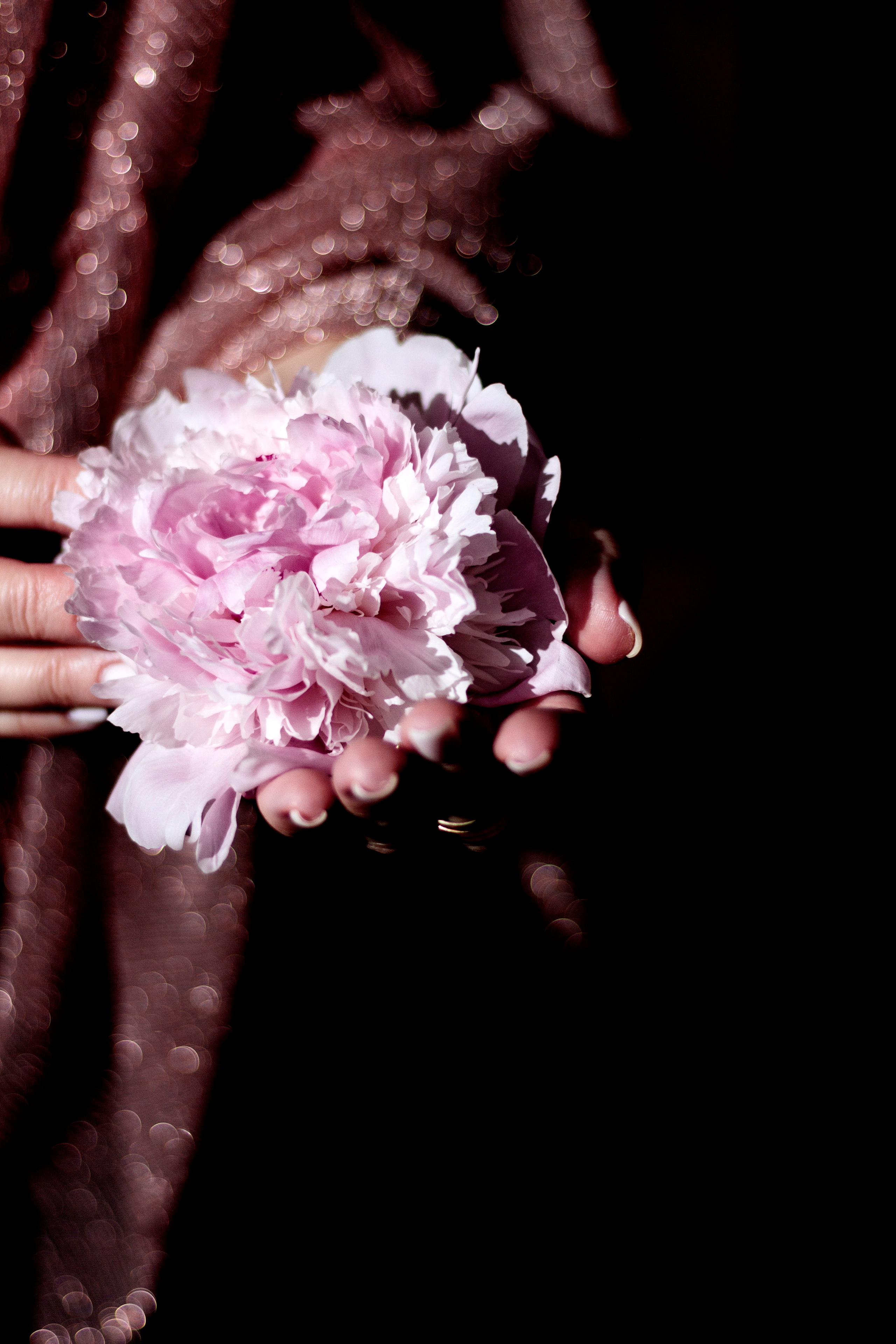 Photographer in Munich