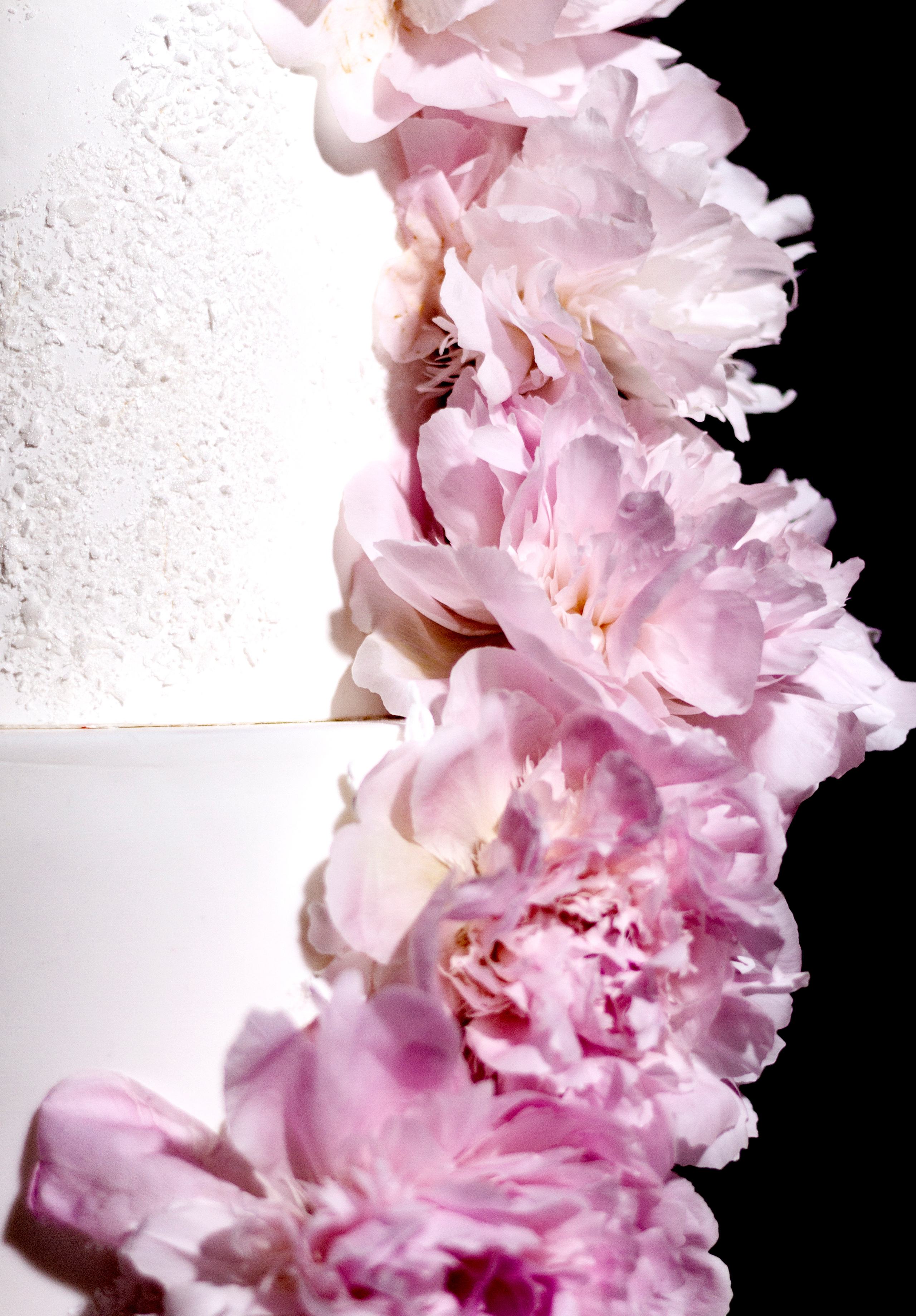 Photographer in Munich