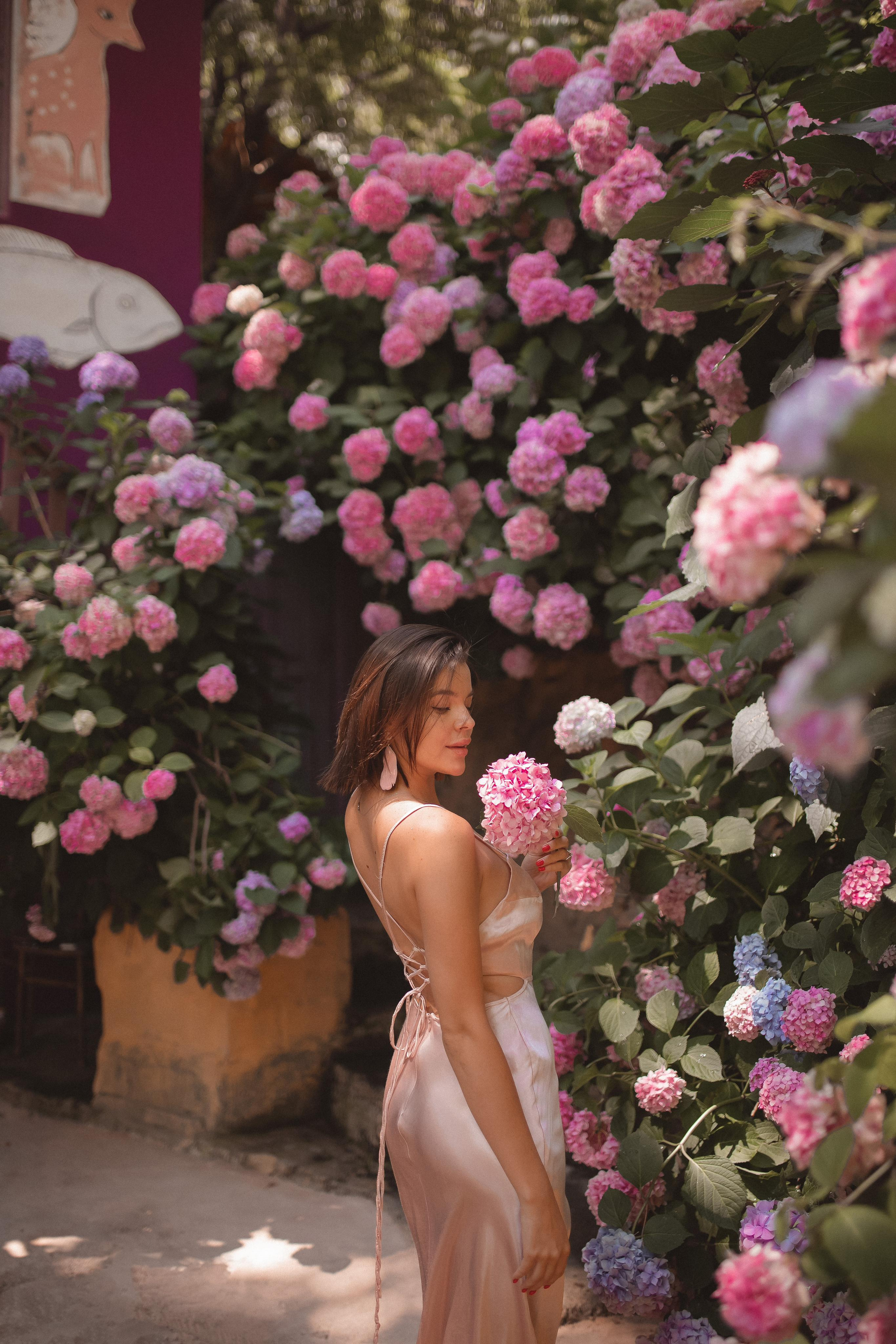 Цветение Гортензии. Фотограф в Анталии. Фотограф в Турции. Фотограф в Белеке. Фотограф в Алании. Фотограф Аланья. Фотограф Анталья. Фотограф Белек. Фотограф Турция. Фотограф Каш. Фотограф Бодрум. Свадебнвй фотограф в Турции. Организатор свадеб в Турции . Оранизатор свадеб в Алании. Организатор свадеб в Анталии. Что цветет в Турции.что цветет на анталийском побережье.