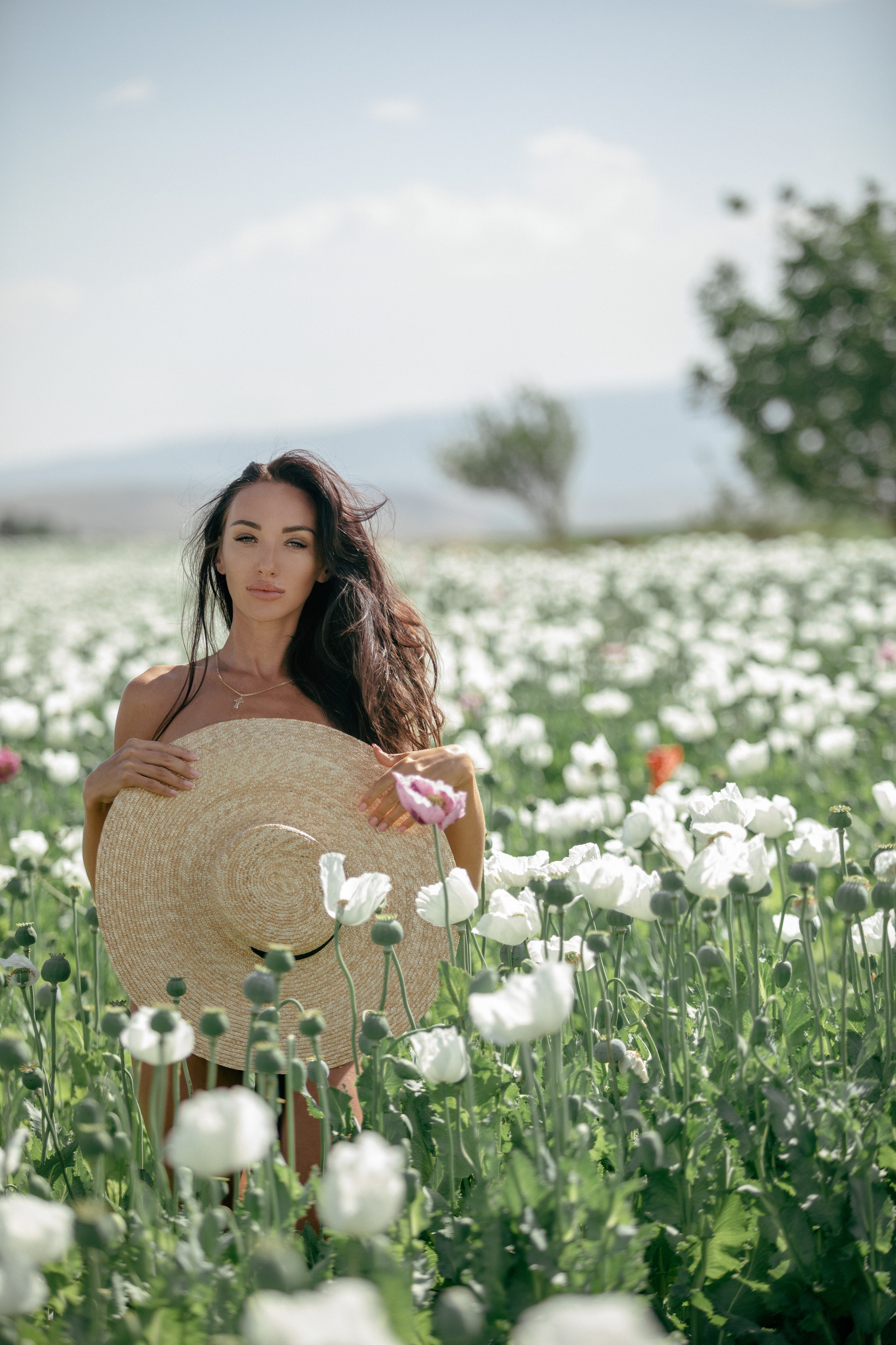 Фотосессия на полях белых маков. Фотосессия в полях белых маков.Что посетить в Анталии.Фотограф в Анталии. Фотограф в Турции. Фотограф в Белеке. Фотограф в Алании. Фотограф Аланья. Фотограф Анталья. Фотограф Белек. Фотограф Турция. Фотограф Каш. Фотограф Бодрум. Свадебнвй фотограф в Турции. Организатор свадеб в Турции . Оранизатор свадеб в Алании. Организатор свадеб в Анталии. Что цветет в Турции.что цветет на анталийском побережье.