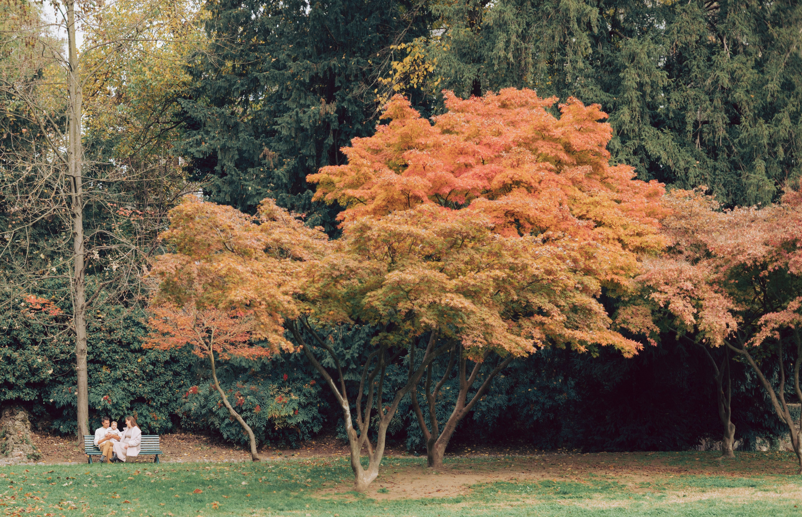 Family/Children. Anastasiia Buchinskaia Photographer in Milan
