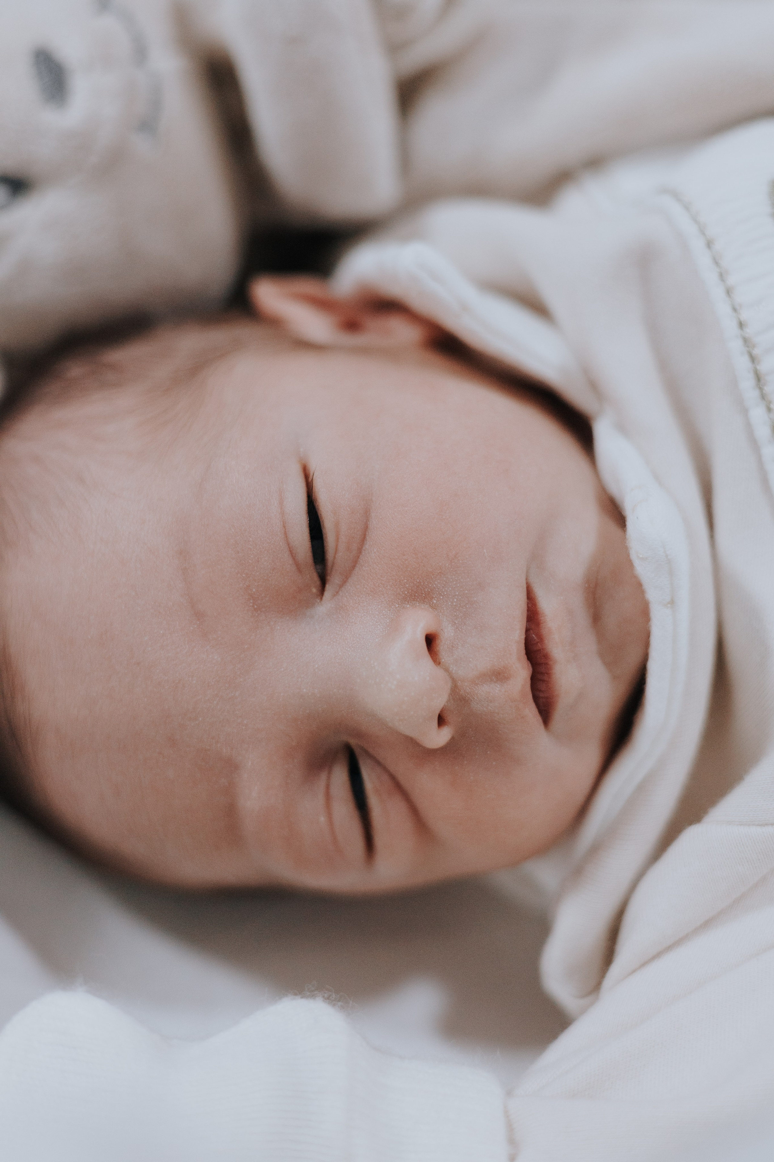 Bem vindo Arthur. Salvy fotografia