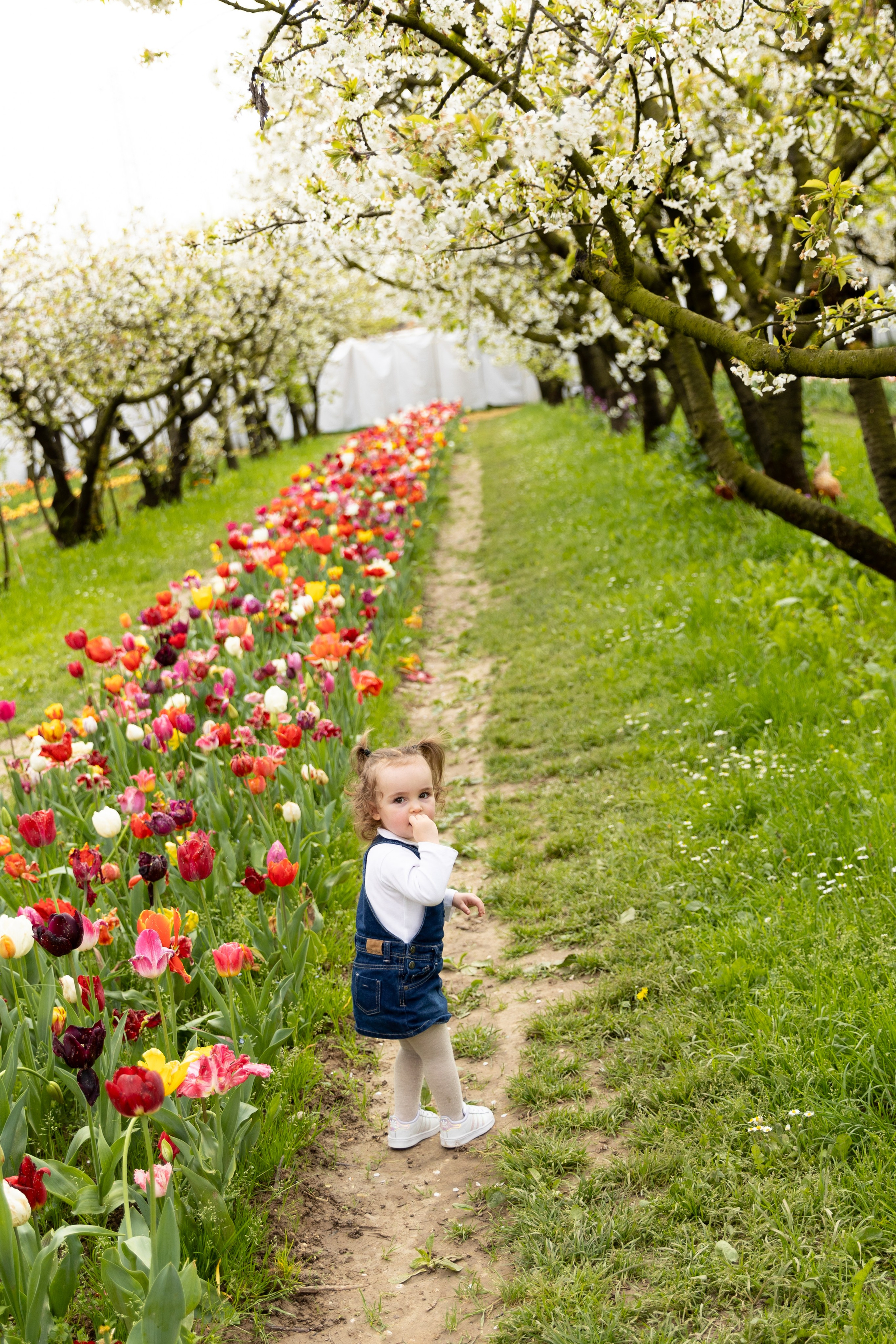 Noemi, Alessia e Sofia. Luci e Capricci Photography
