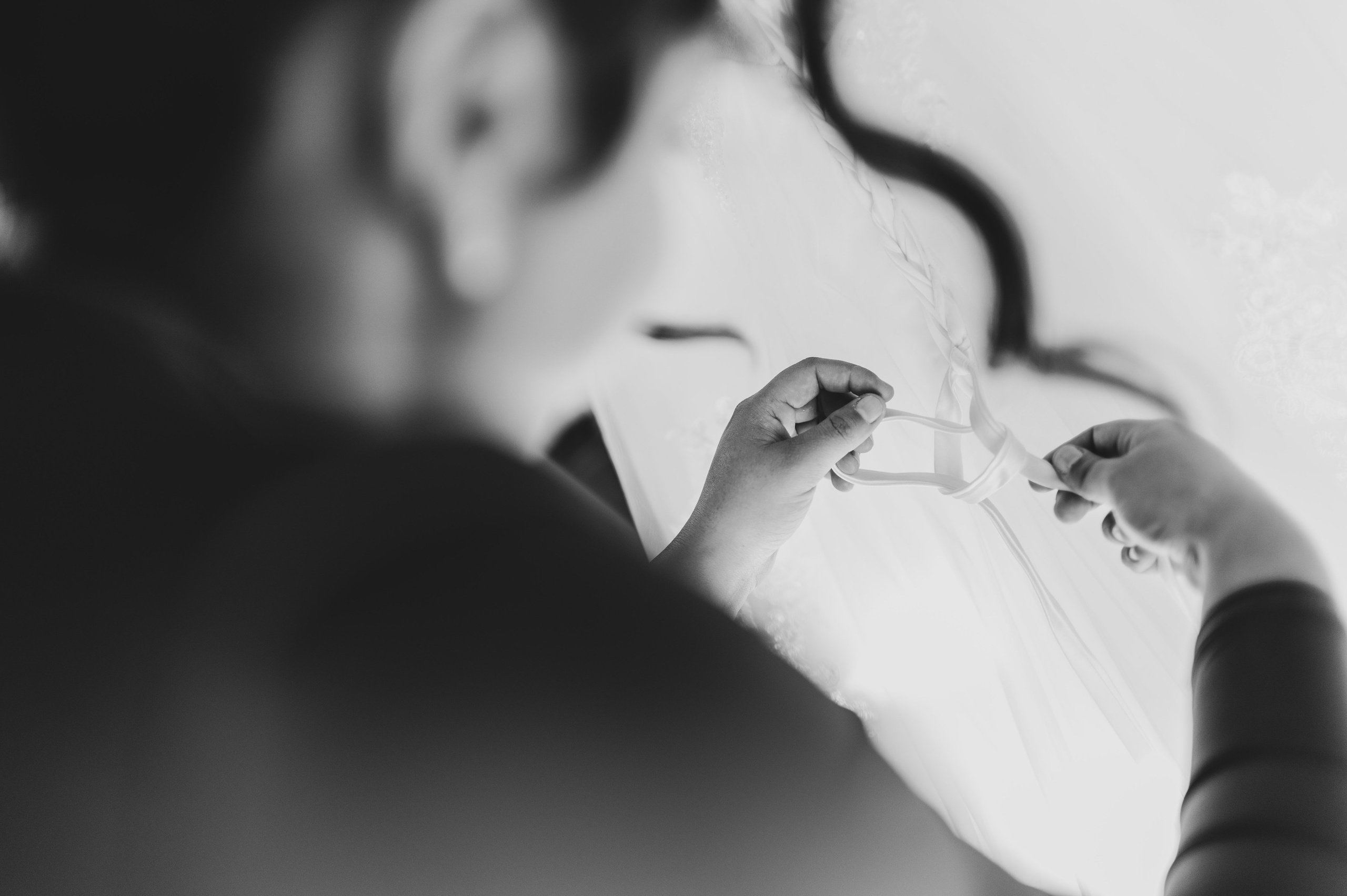 Selectie. Daniel Rotaru Photography