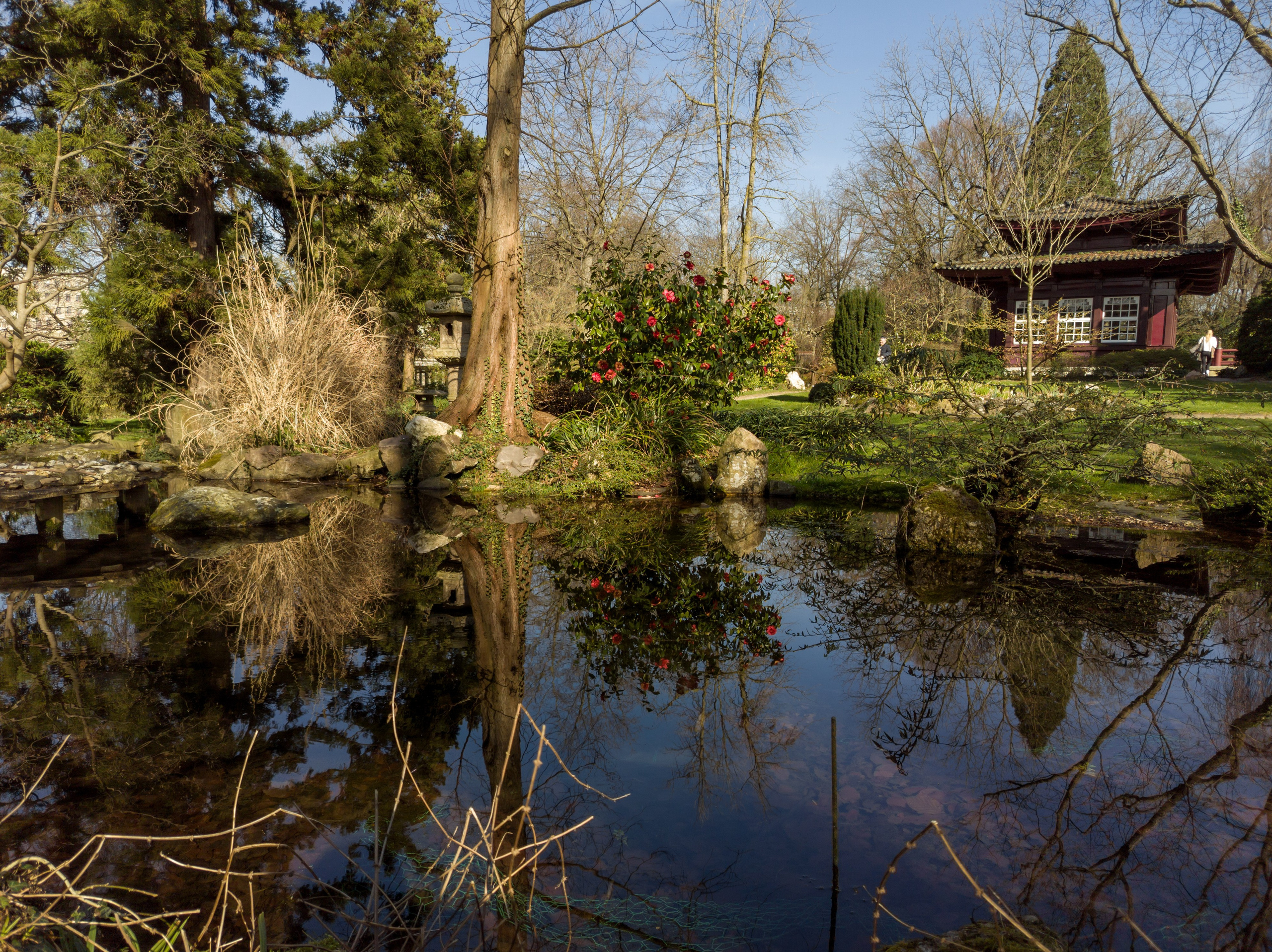 Cologne (Germany) Leverkusen. Fotograf in Köln, Bonn, Düsseldorf, Krefeld