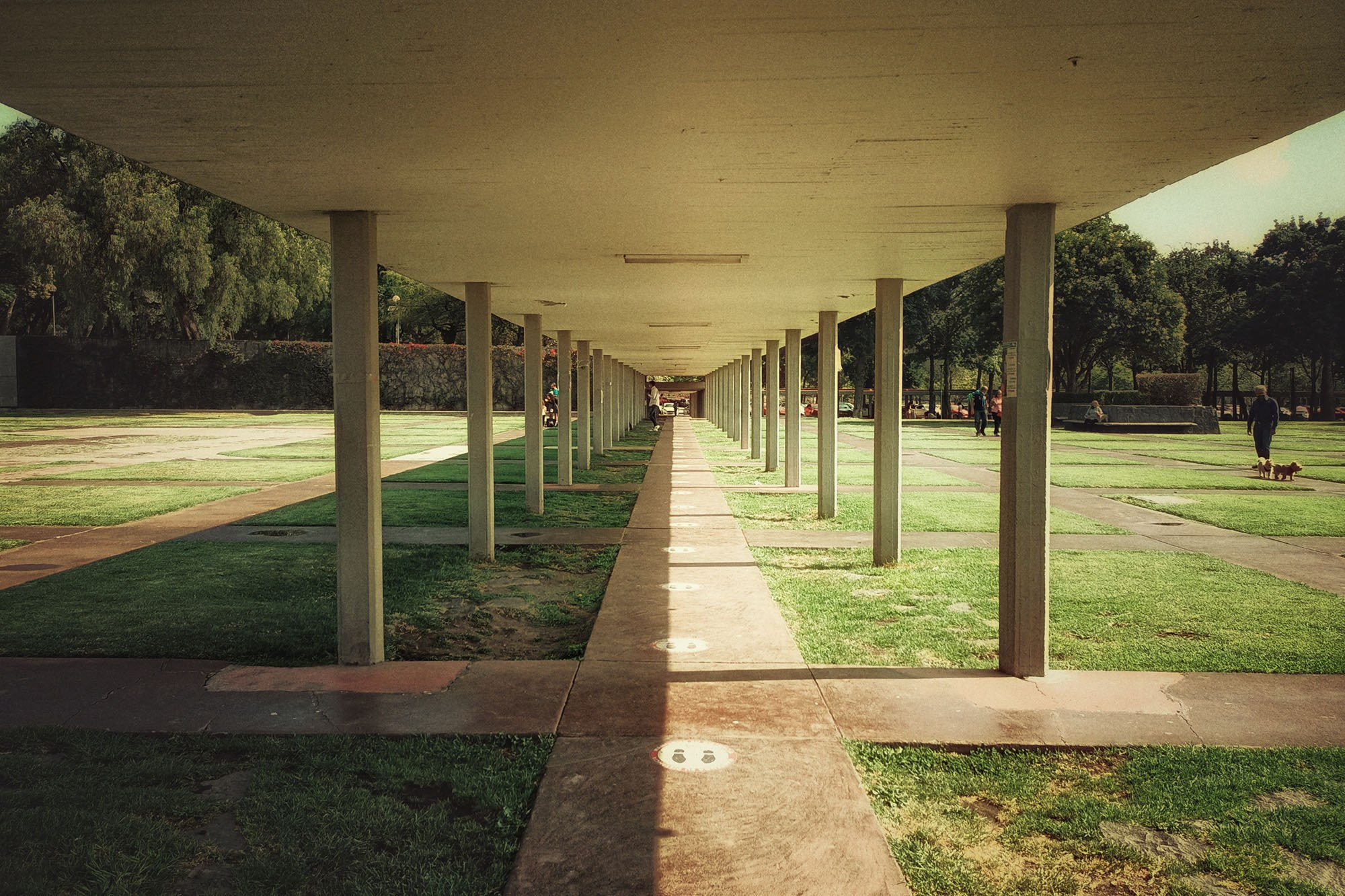 Street. Marisol Murillo Fotógrafa profesional en Chimalhuacán, Edo. de México