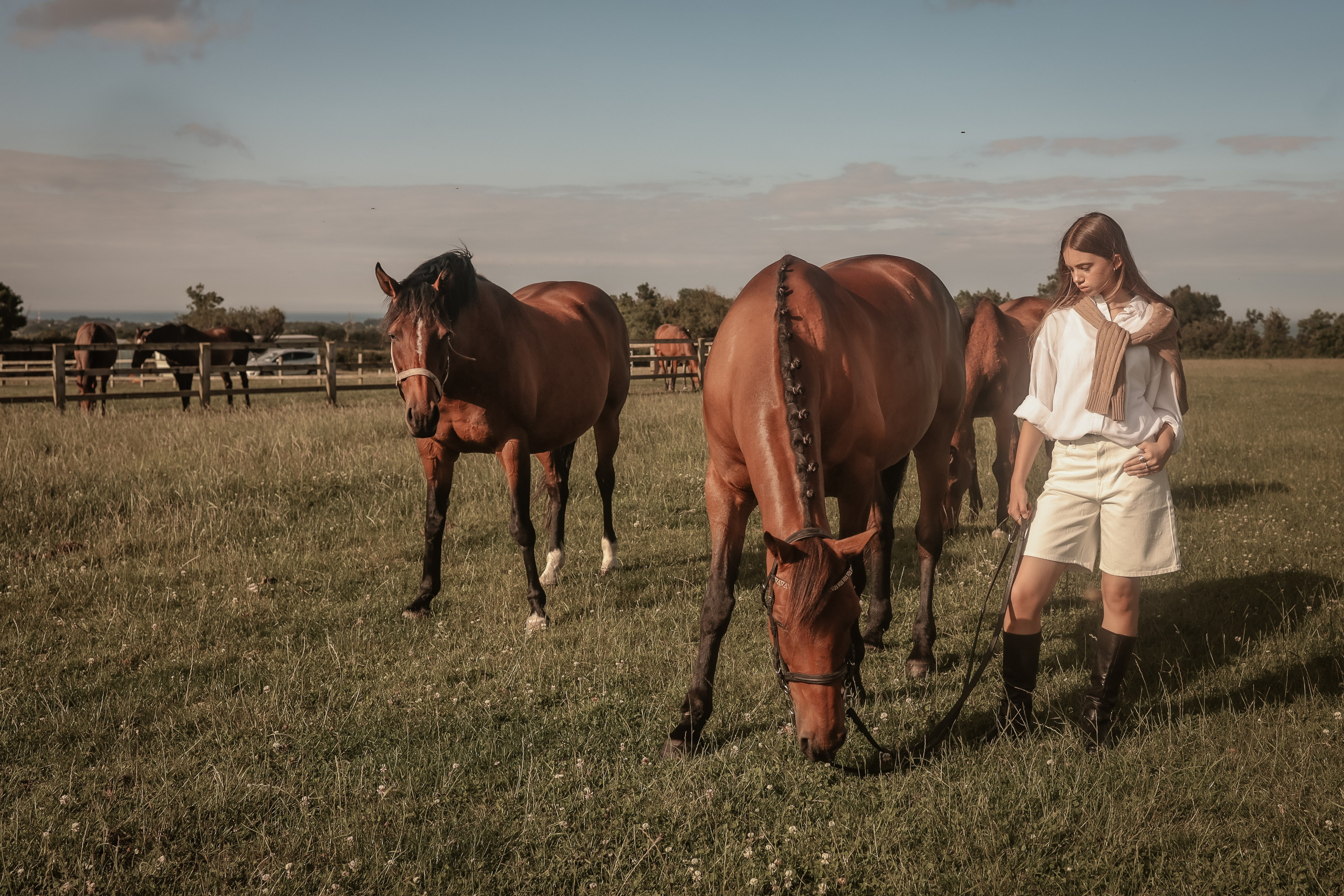 Among the Horses. Photographer Co Dublin, Balbriggan — Agata Maliseva