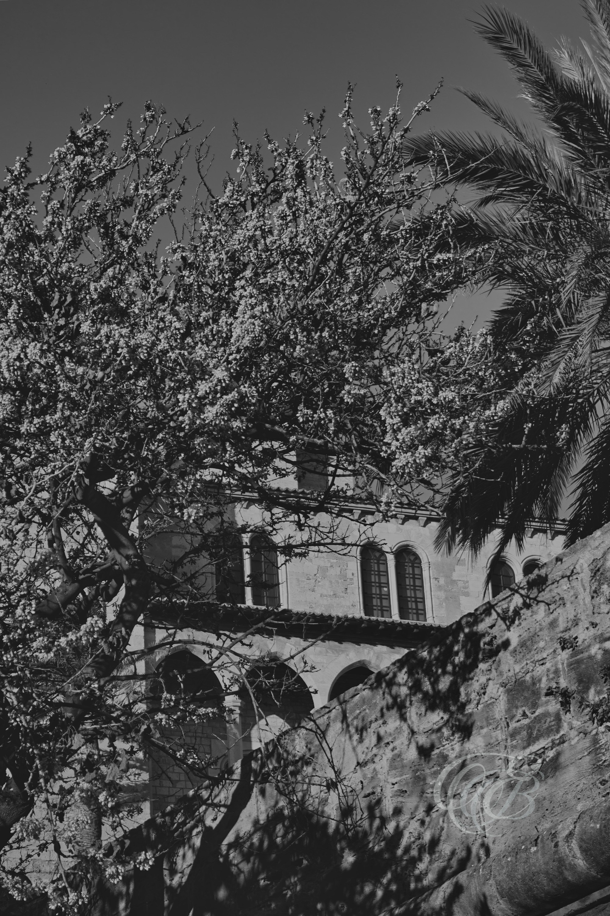 Mallorca in Black & White — Fine Art Photography Noir. Eduardo Bartoli Photography