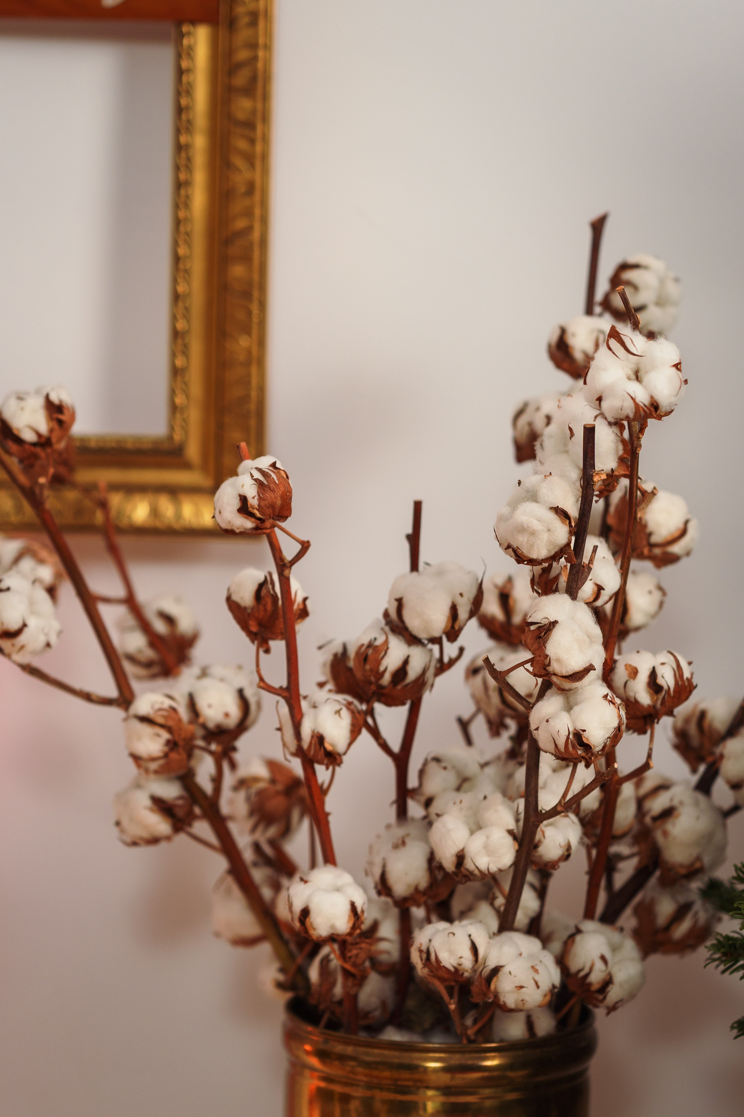 Decor Craciun 2023. Raw Studio. Fotograful tau de nunta!