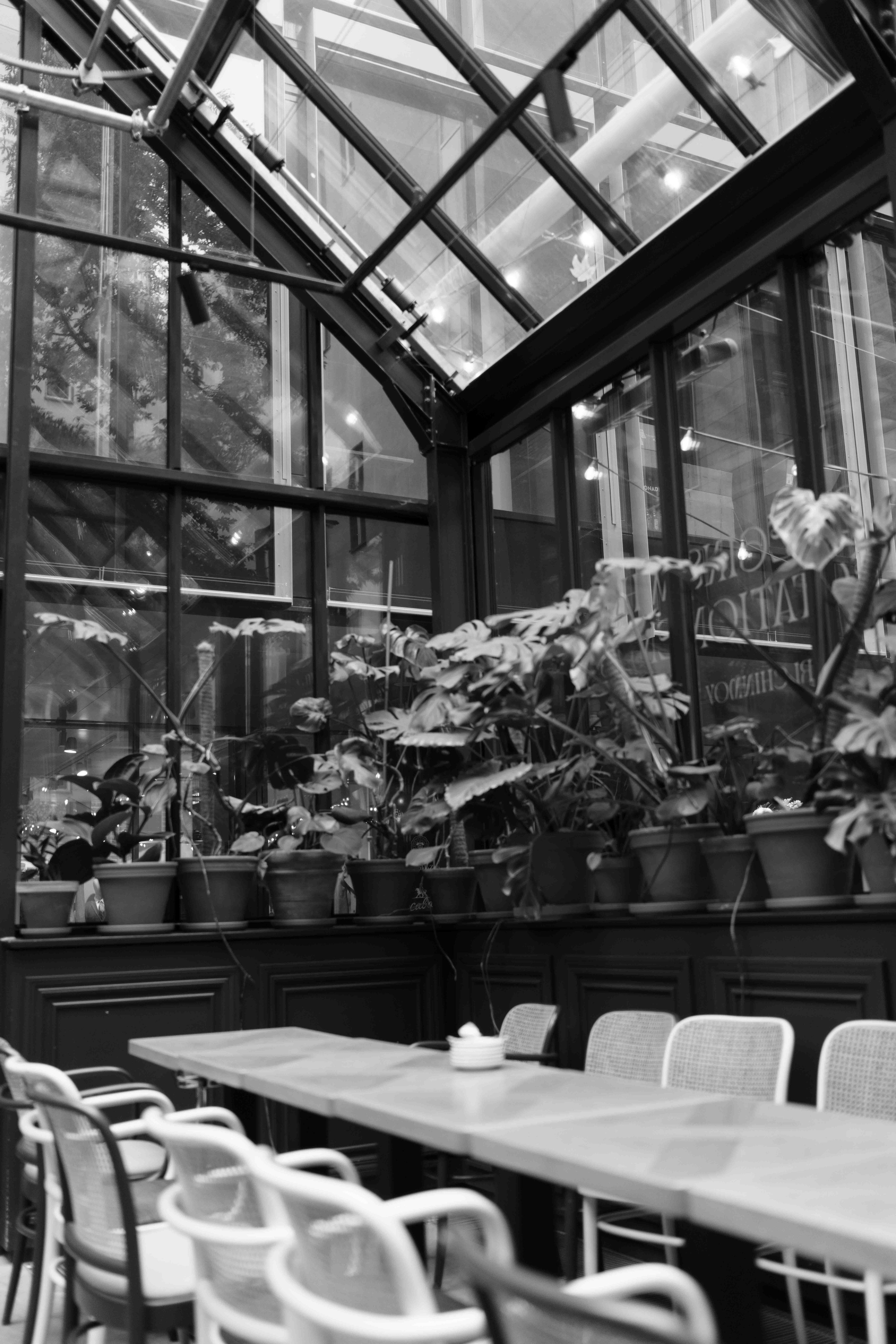 Света 41. Frenkel Nadja Fotograf in Darmstadt|Frankfurt|Wiesbaden