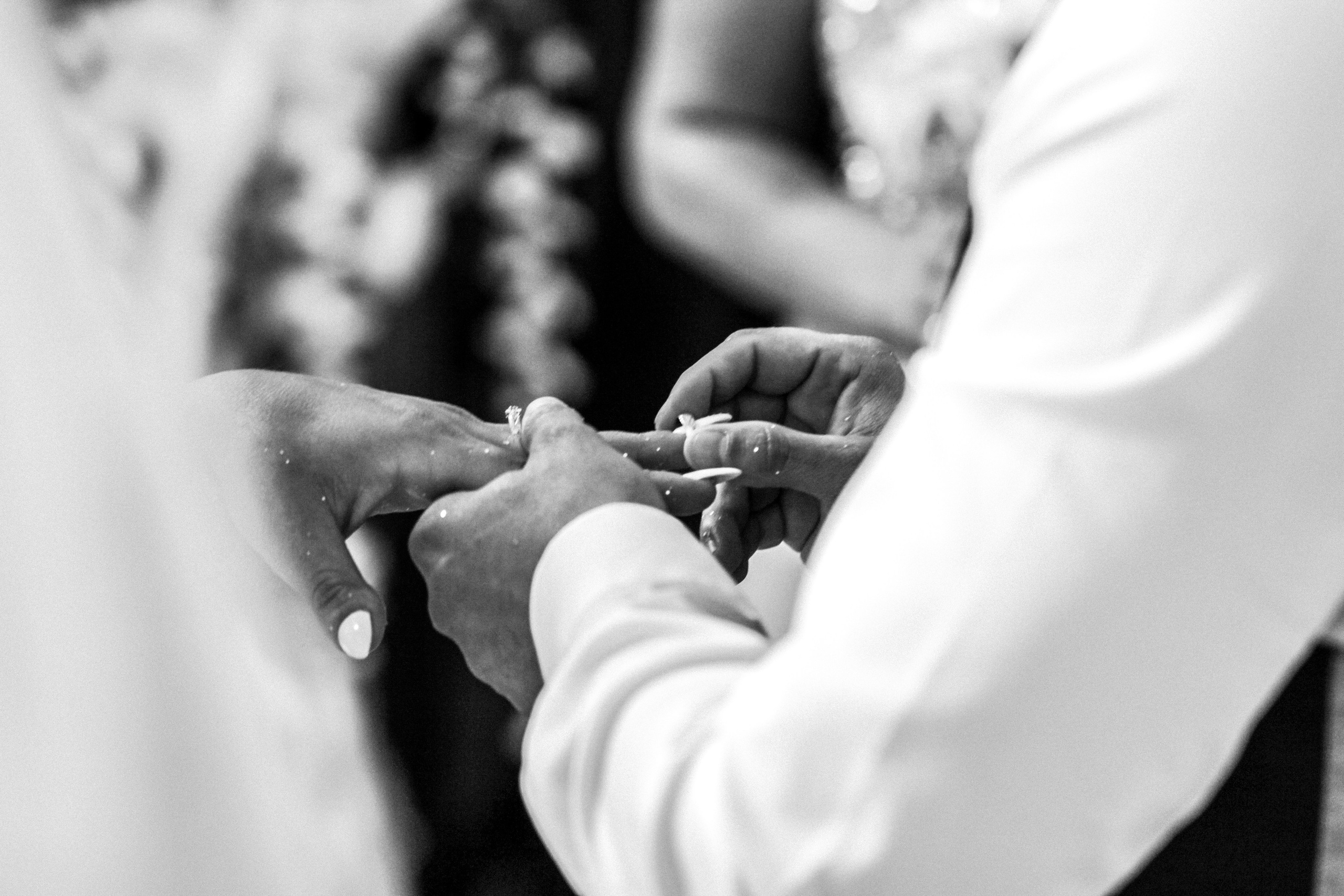 Pavel & Yveta. Svatební fotograf a kameraman v Česku a po celé Evropě — Teplice, Ústí nad Labem, Praha, Drážďany