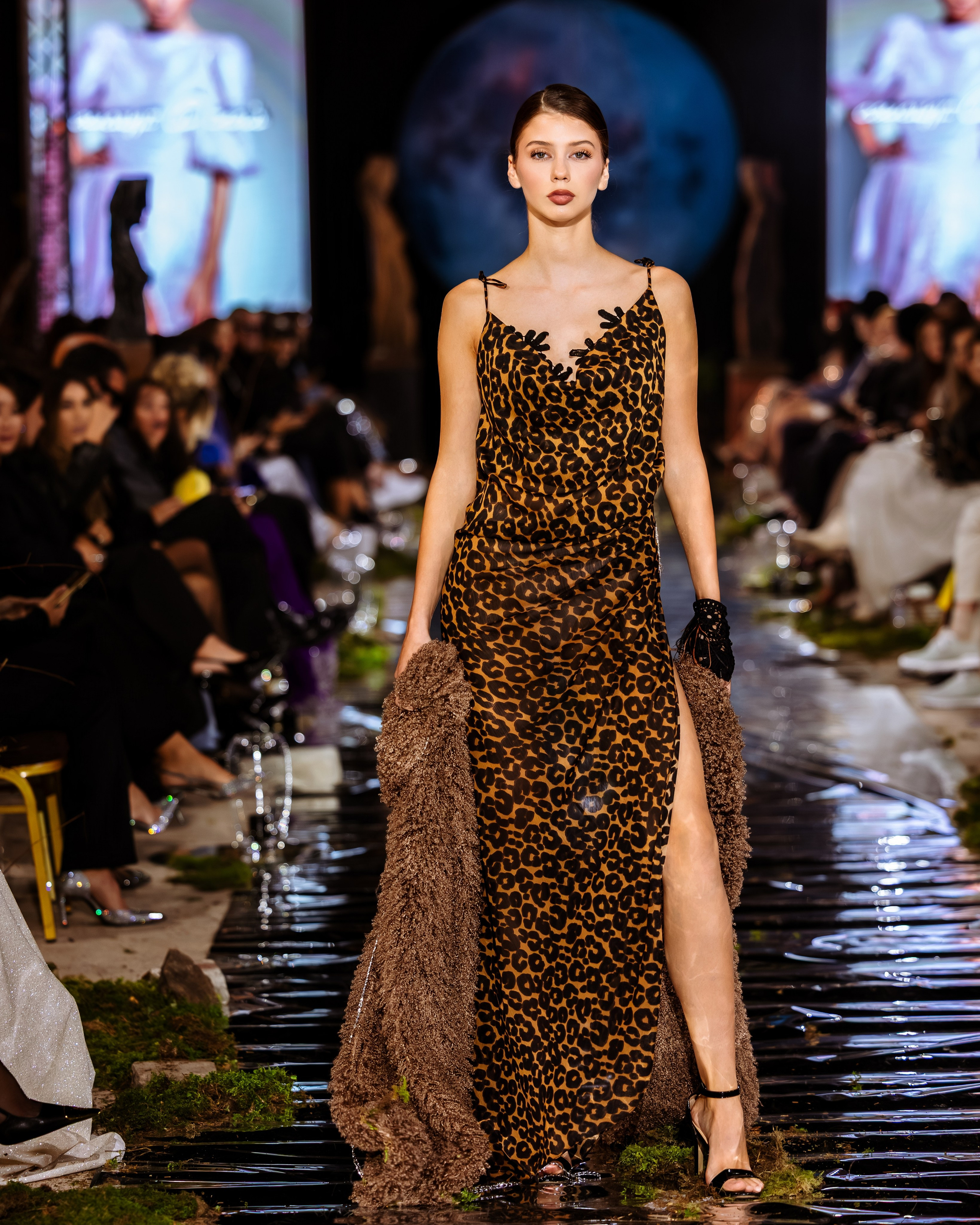 Prive. Marius Ciocan