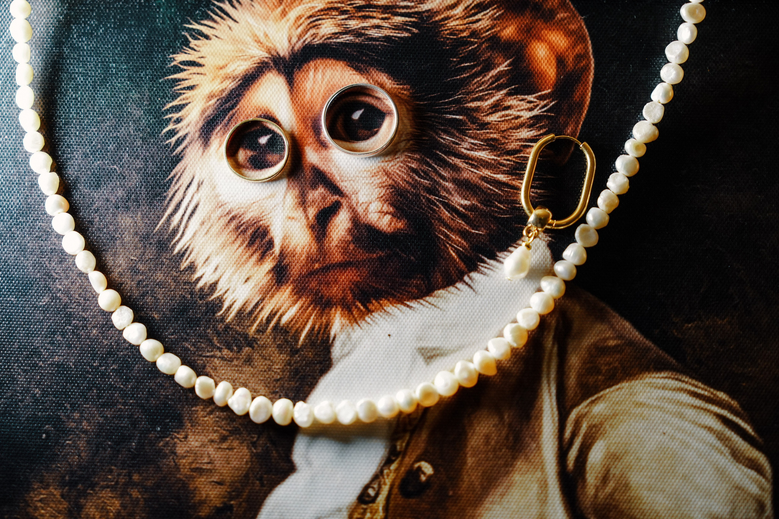 Dmitry Gorodetsky Event Photographer