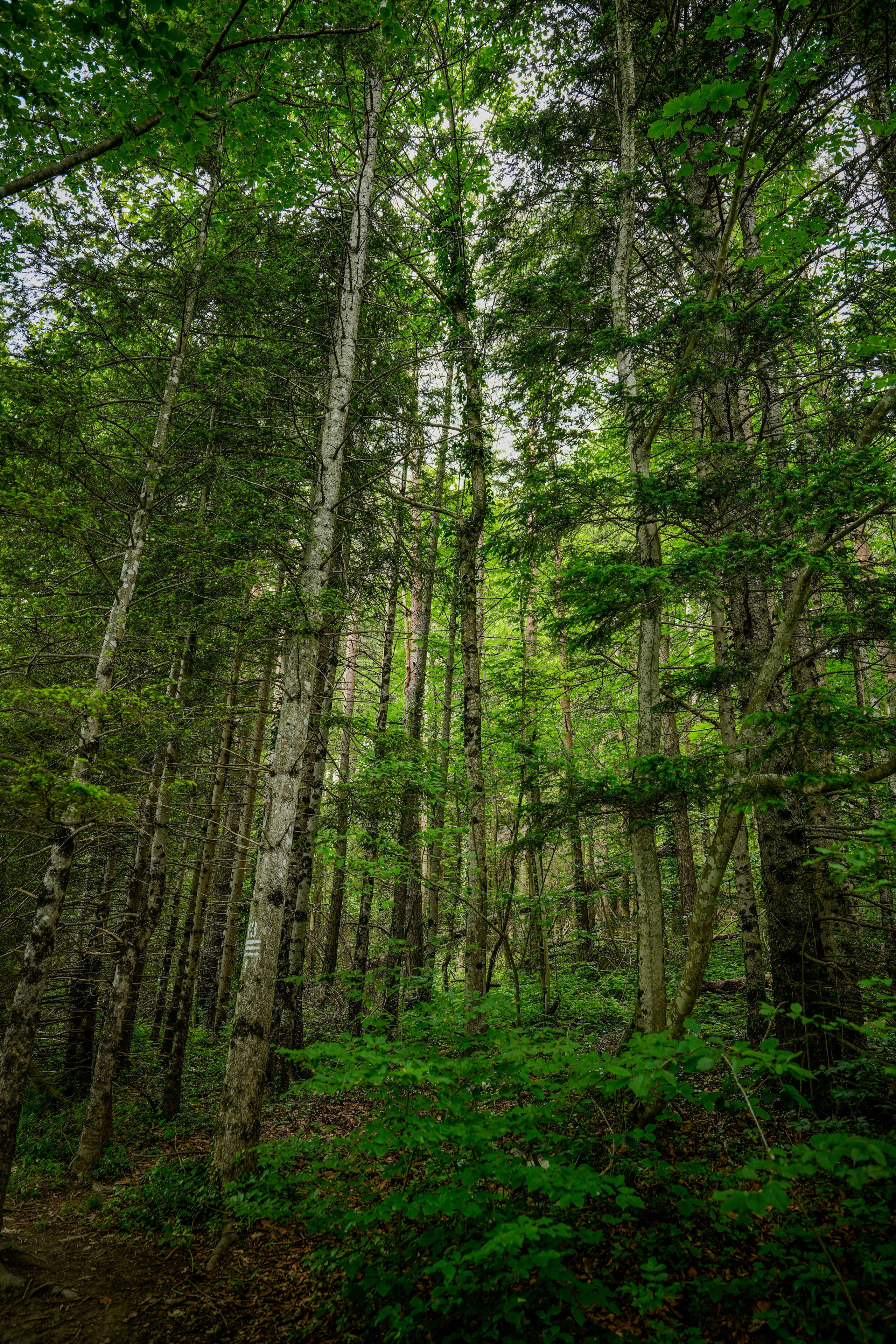 Bank Jerusalem — Team Retreat