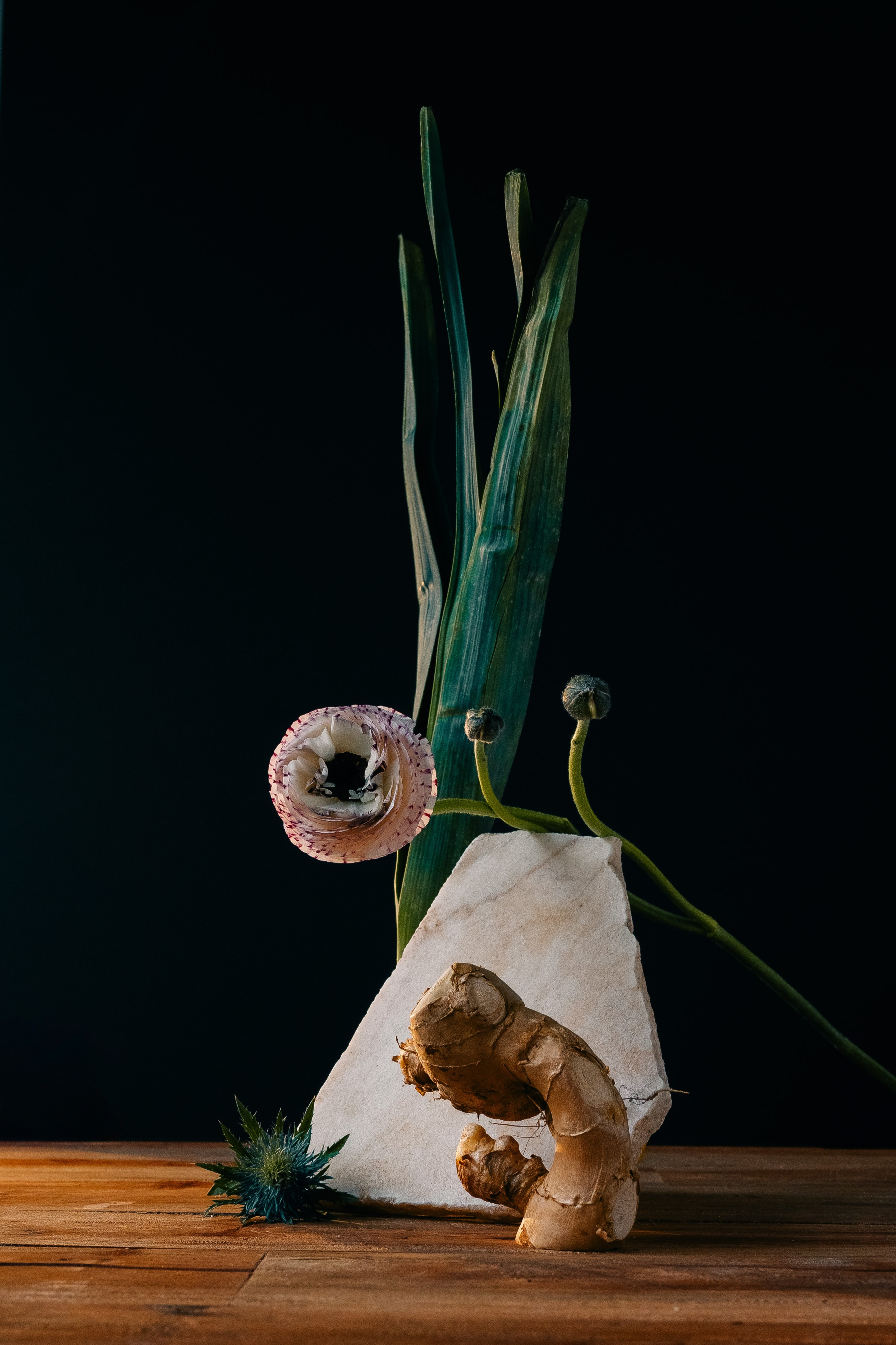 Floral composition with ginger. A flower leans on a marble piece. Leek is standing behind them. A piece of ginger stands in front. 
