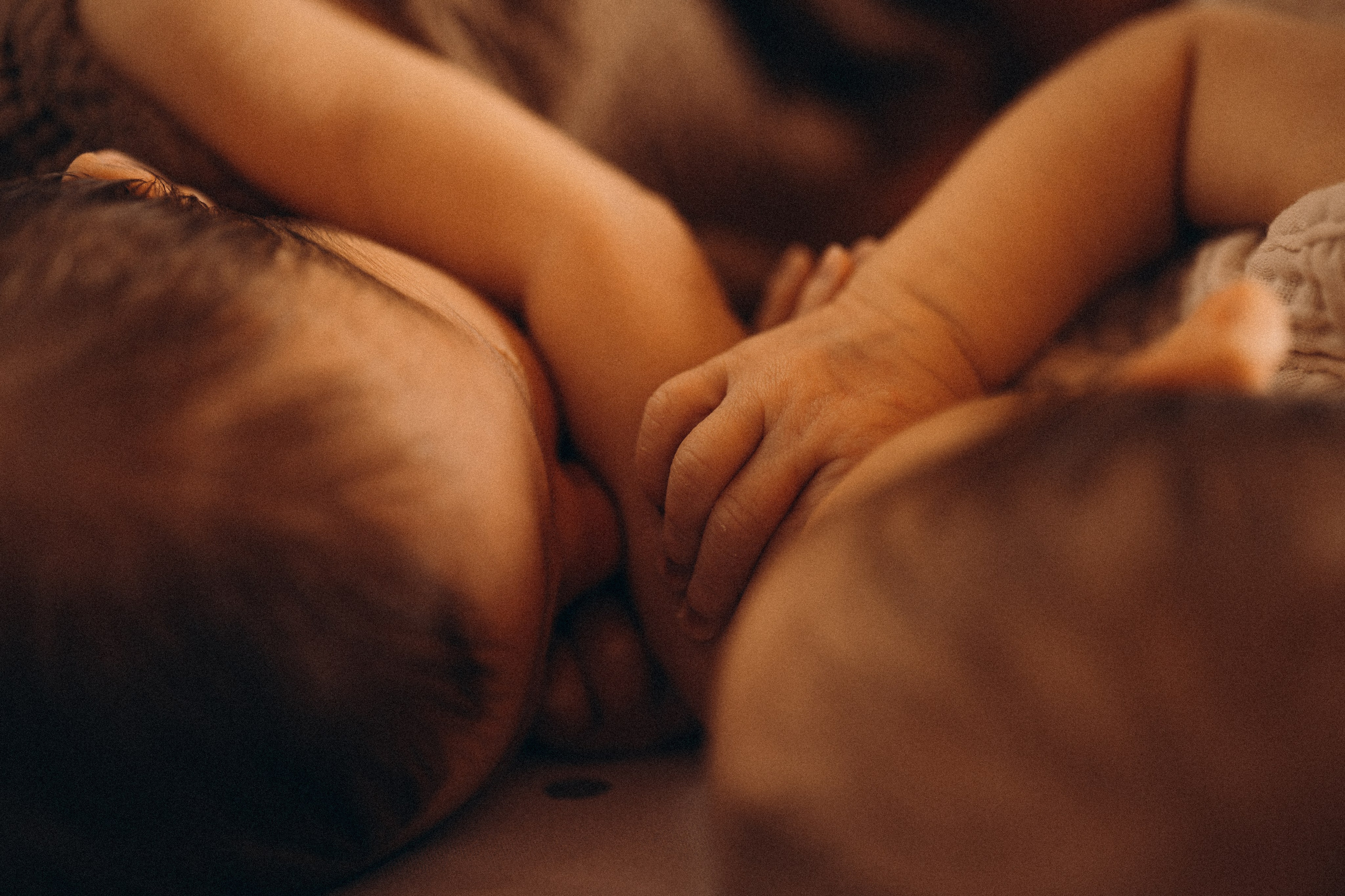 Newborn. Photographer Madeira