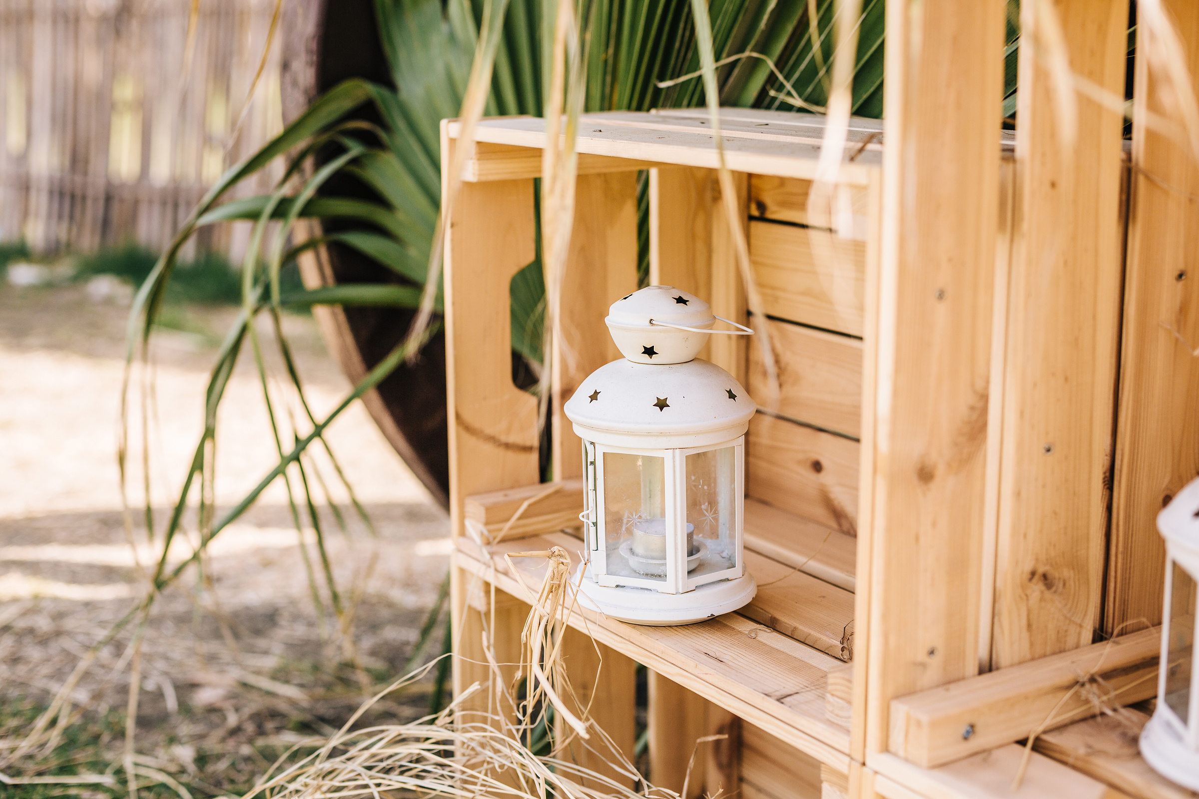 Anna and Allaoua. Портретний та весільний фотограф Надія Онода