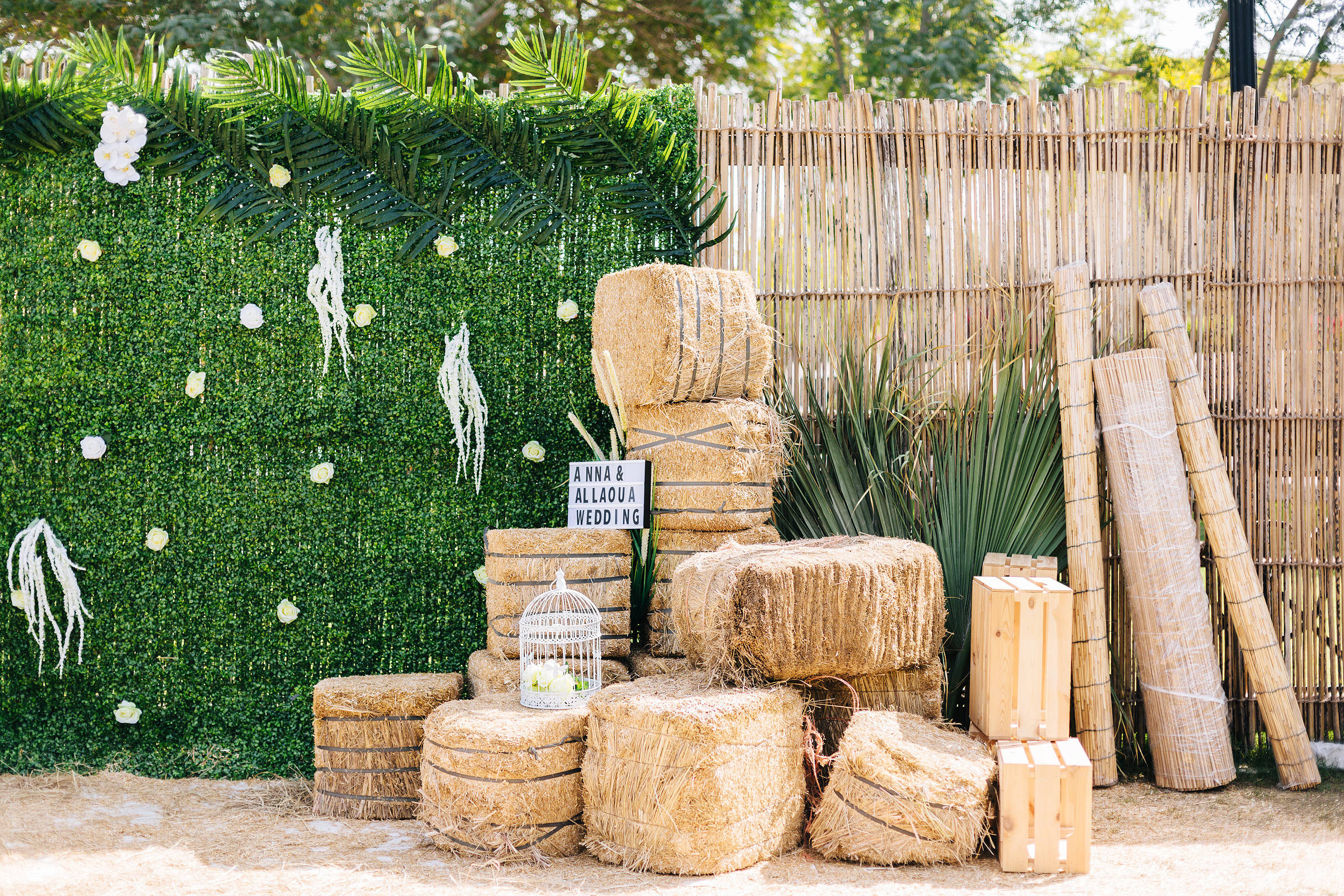 Anna and Allaoua. Портретний та весільний фотограф Надія Онода