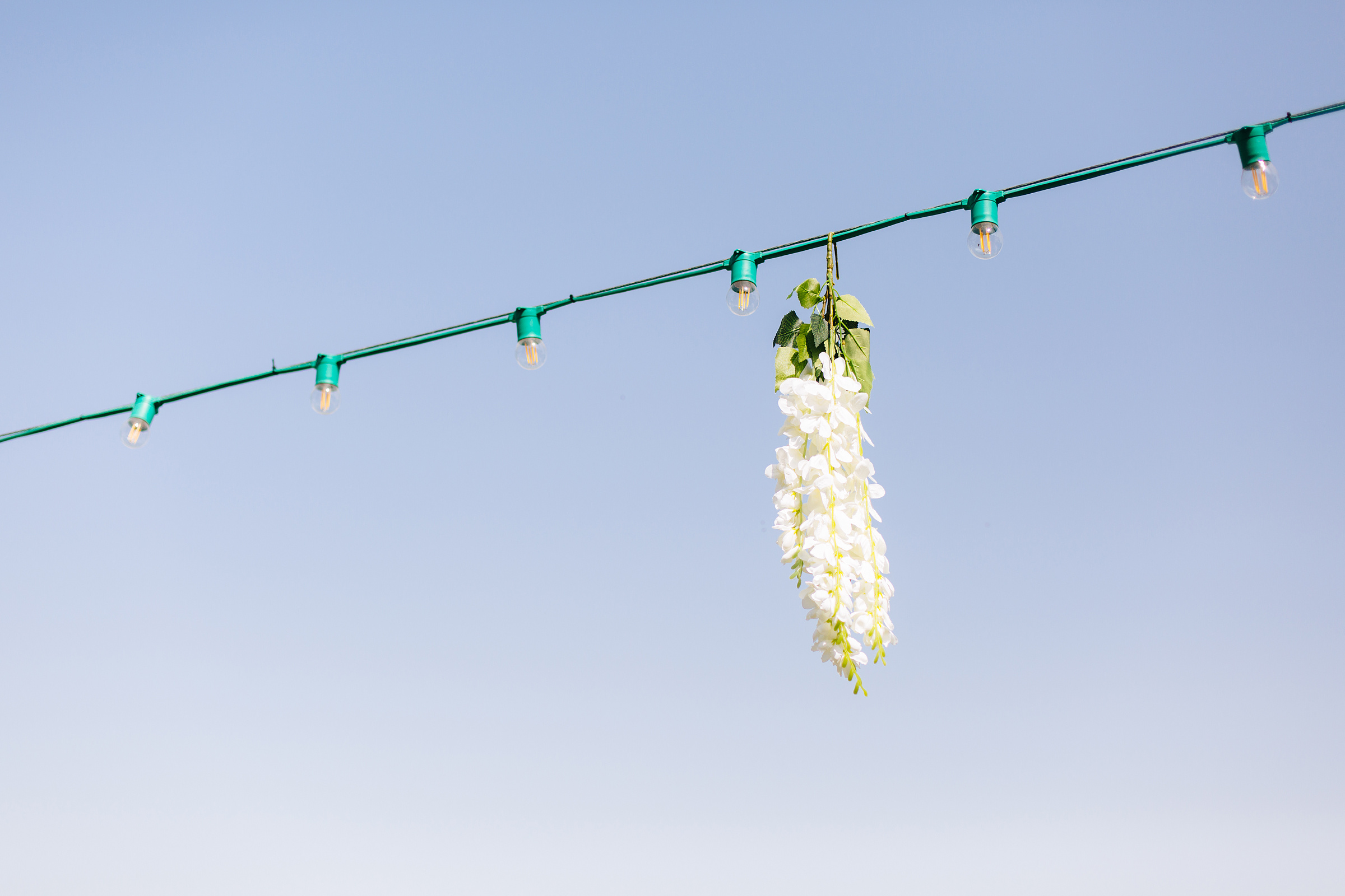 Anna and Allaoua. Портретний та весільний фотограф Надія Онода