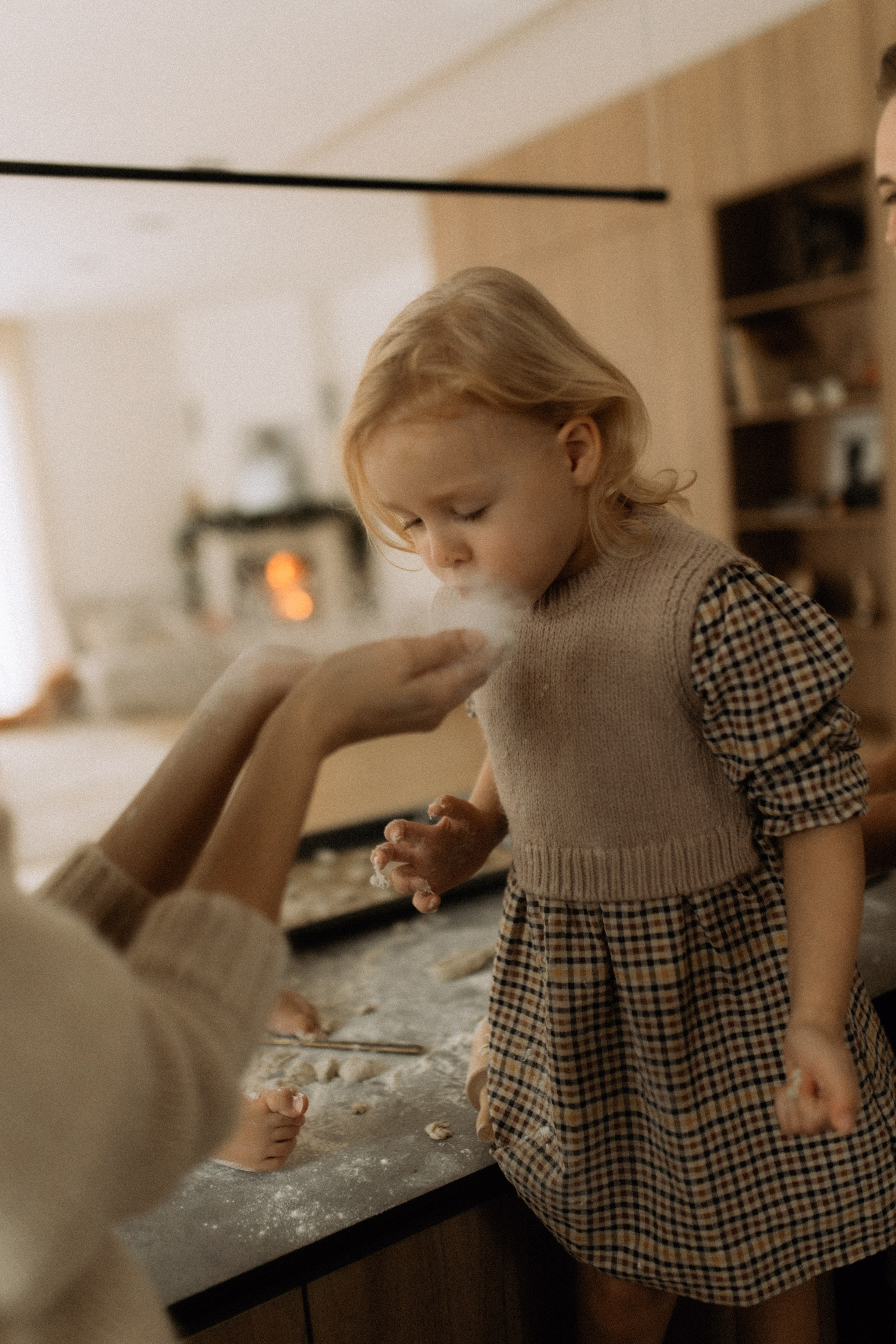 Šventinė šeimos fotosesija | NAMAI. Vestuvių ir šeimų fotografė Lena Bondarenko / belove photo