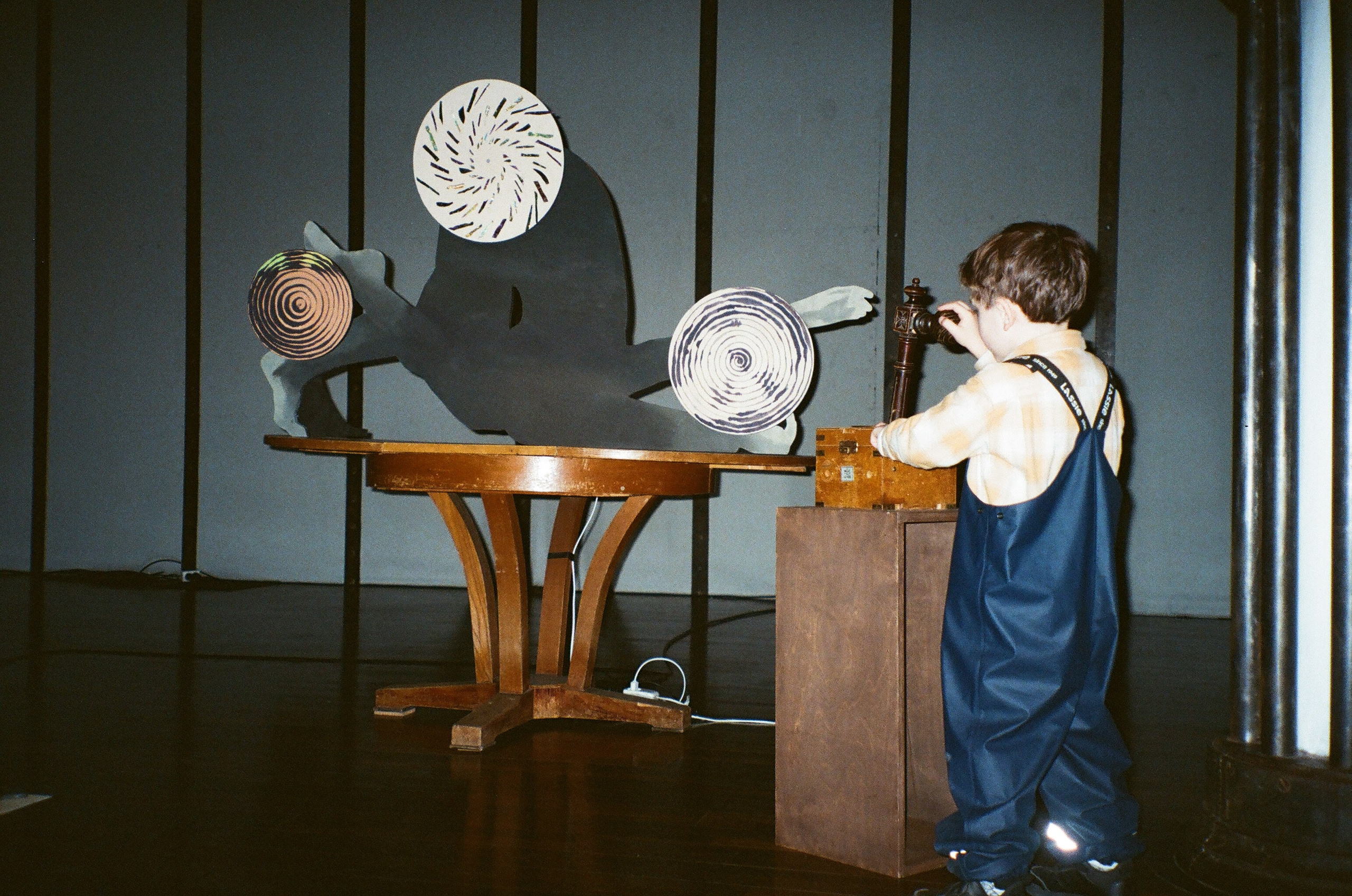 Spira mirabilis| Удивительная спираль. Alina Kugush