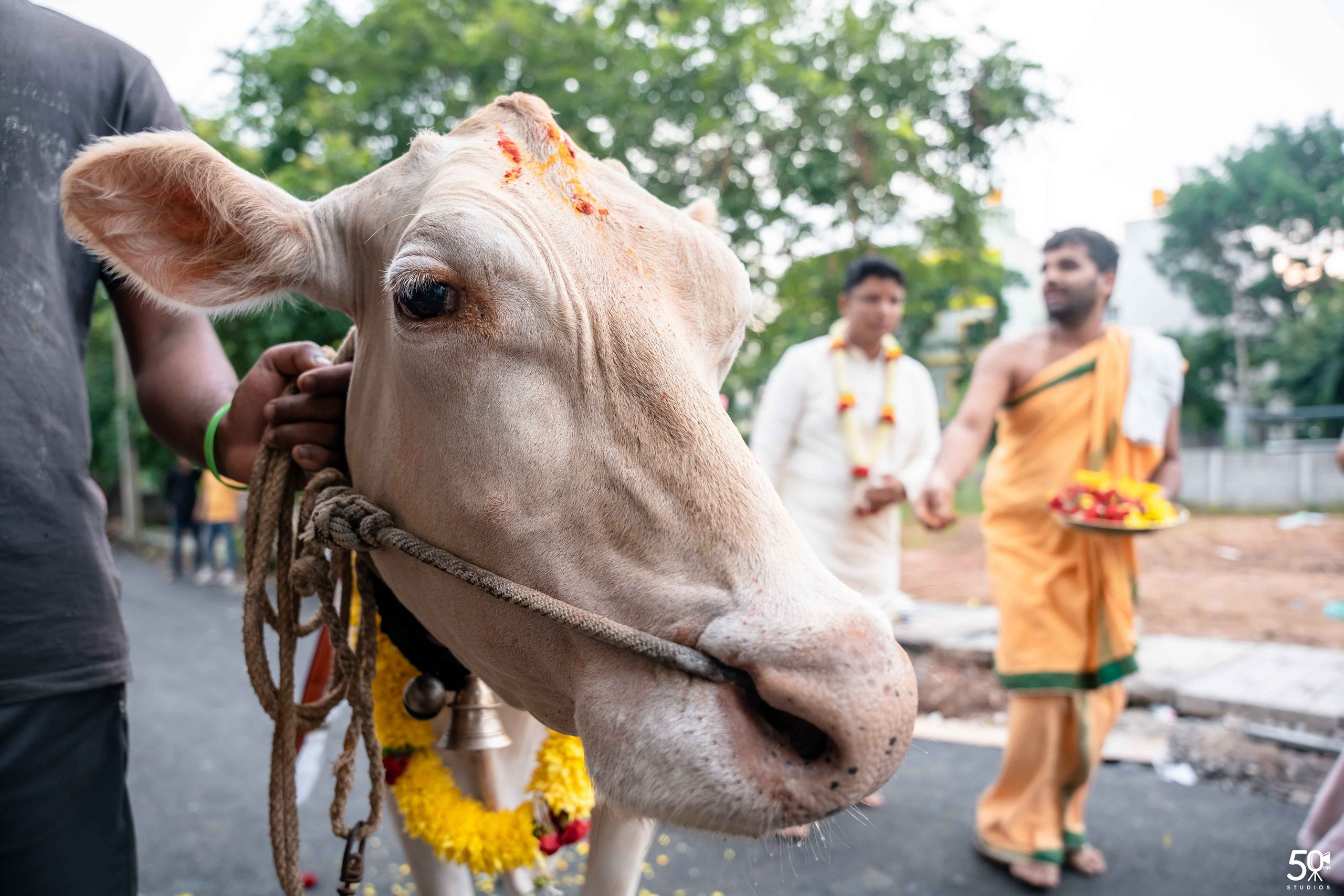 DWARAKADEESHA GRUHAPRAVESHA. 50mm STUDIOS