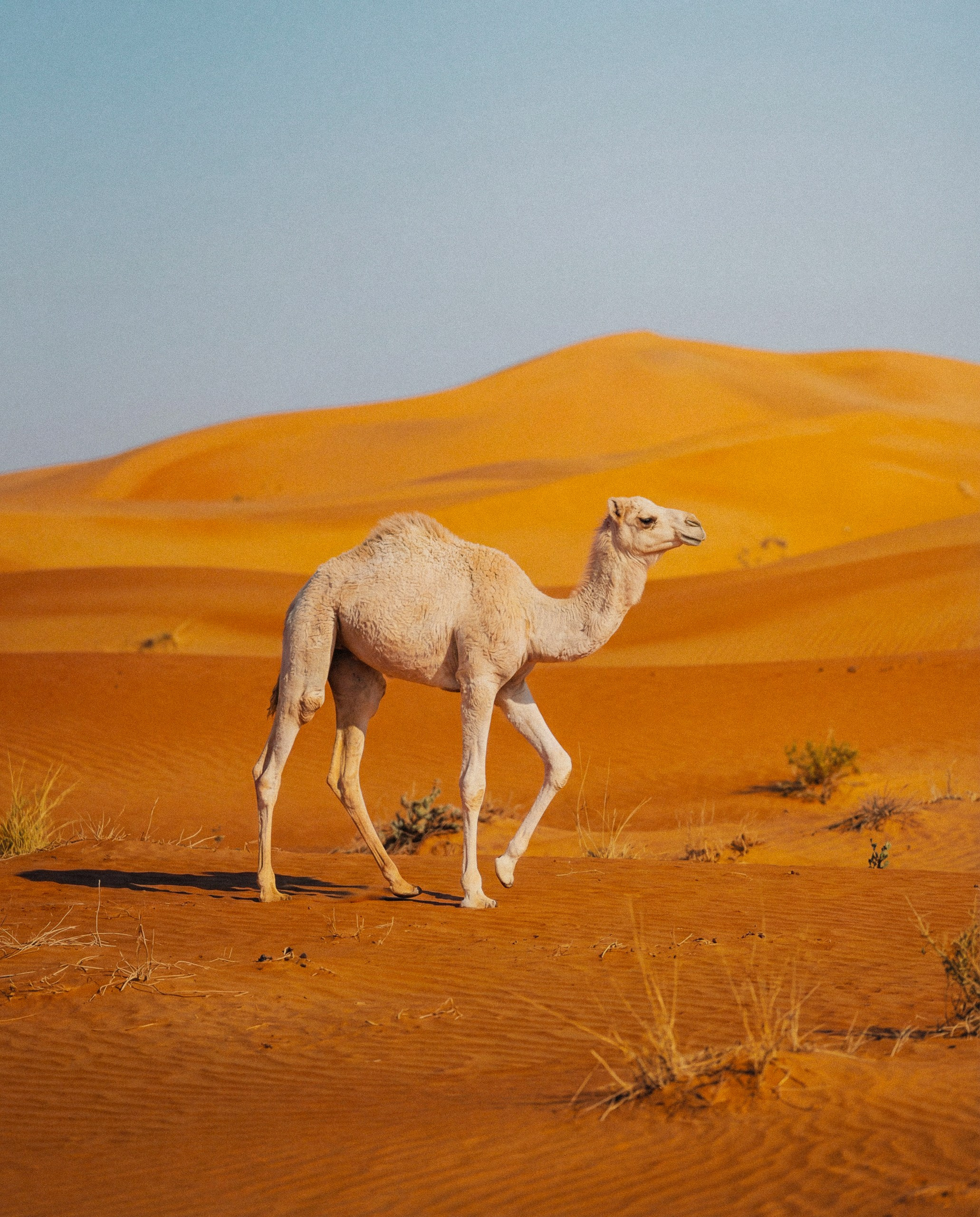 Photos of places around the World