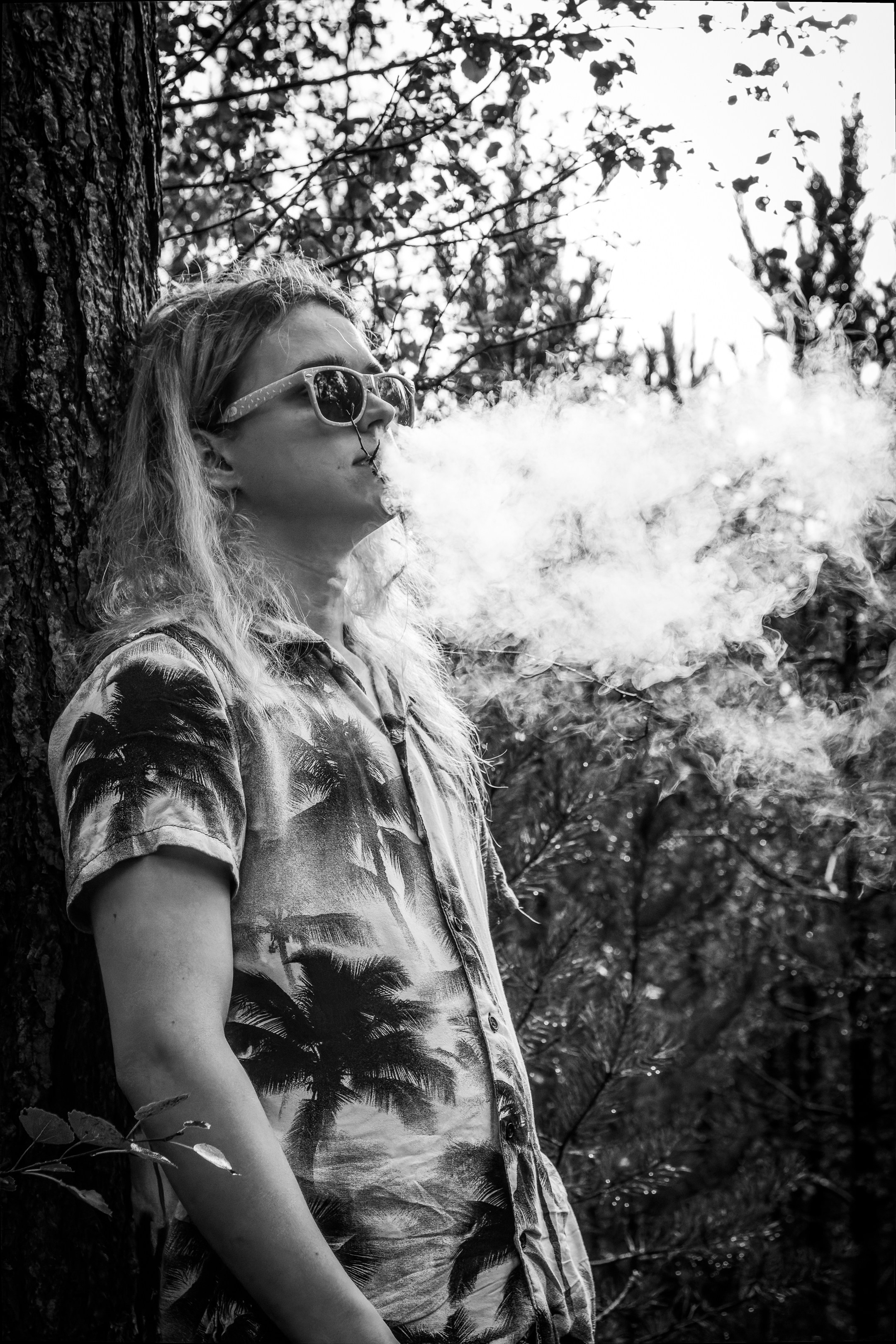 Mets, vihm ja jahedus (Dimitry). Nebula 25 — Fotod teie hingele